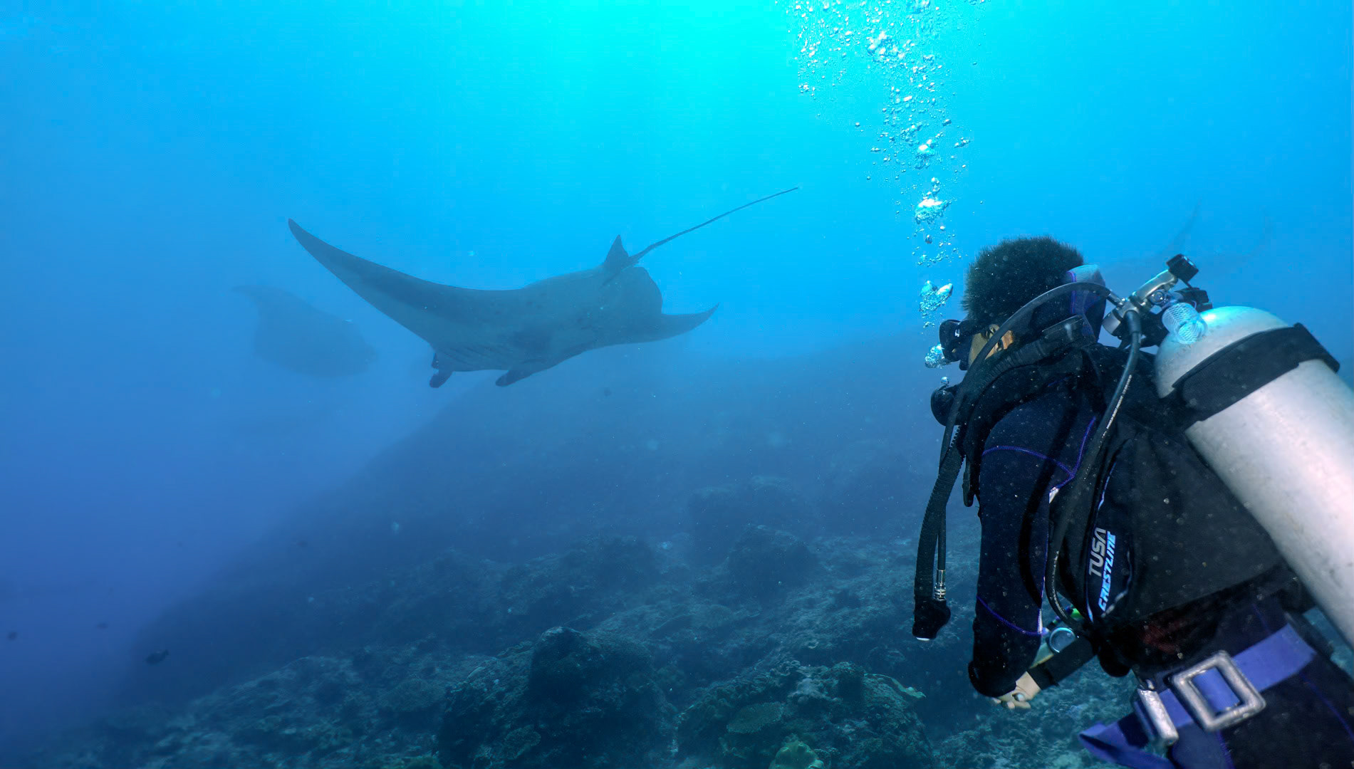 Another shot from last Monday's Manta Dive in Bali.