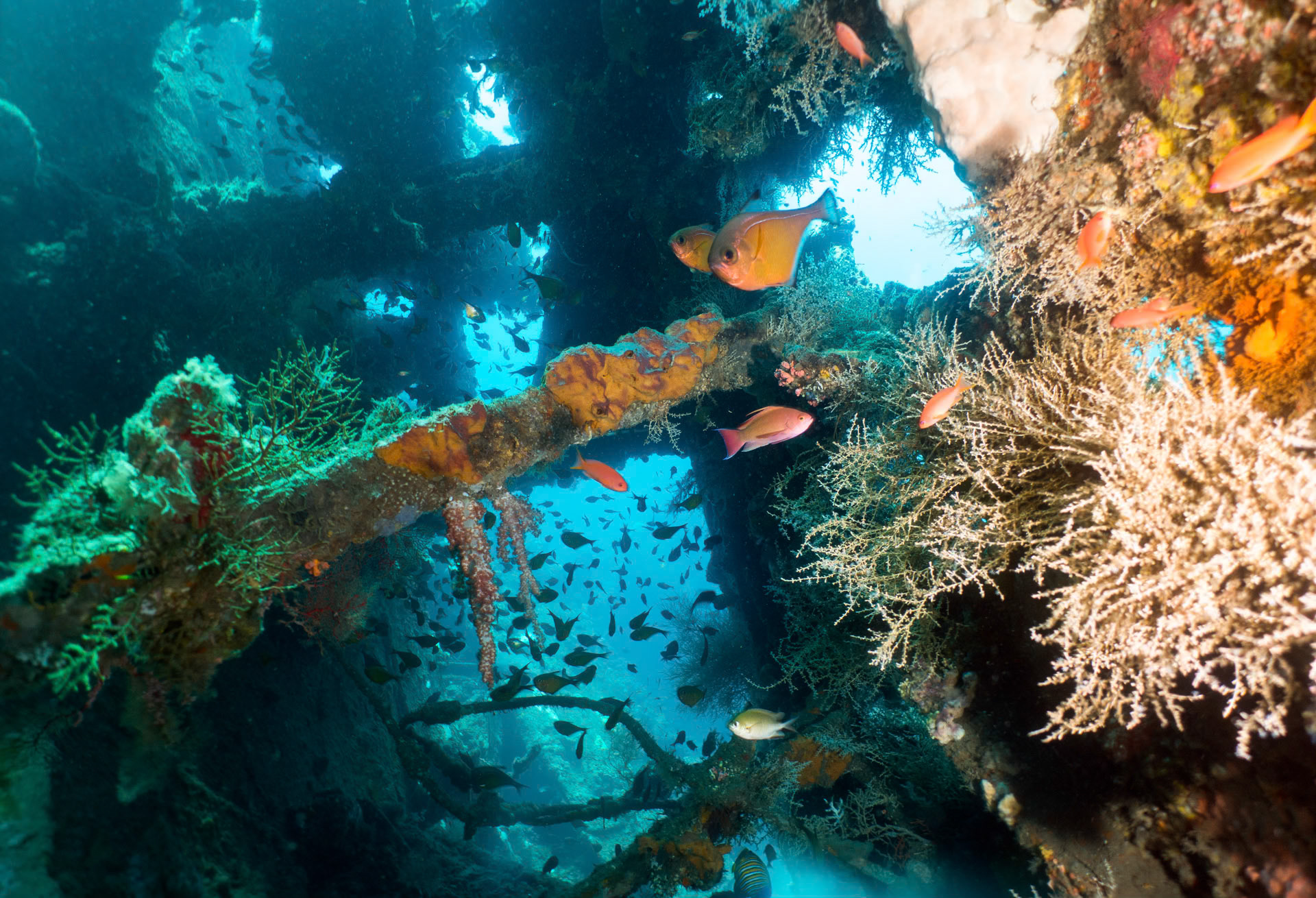 The view into the wreck was intersting.