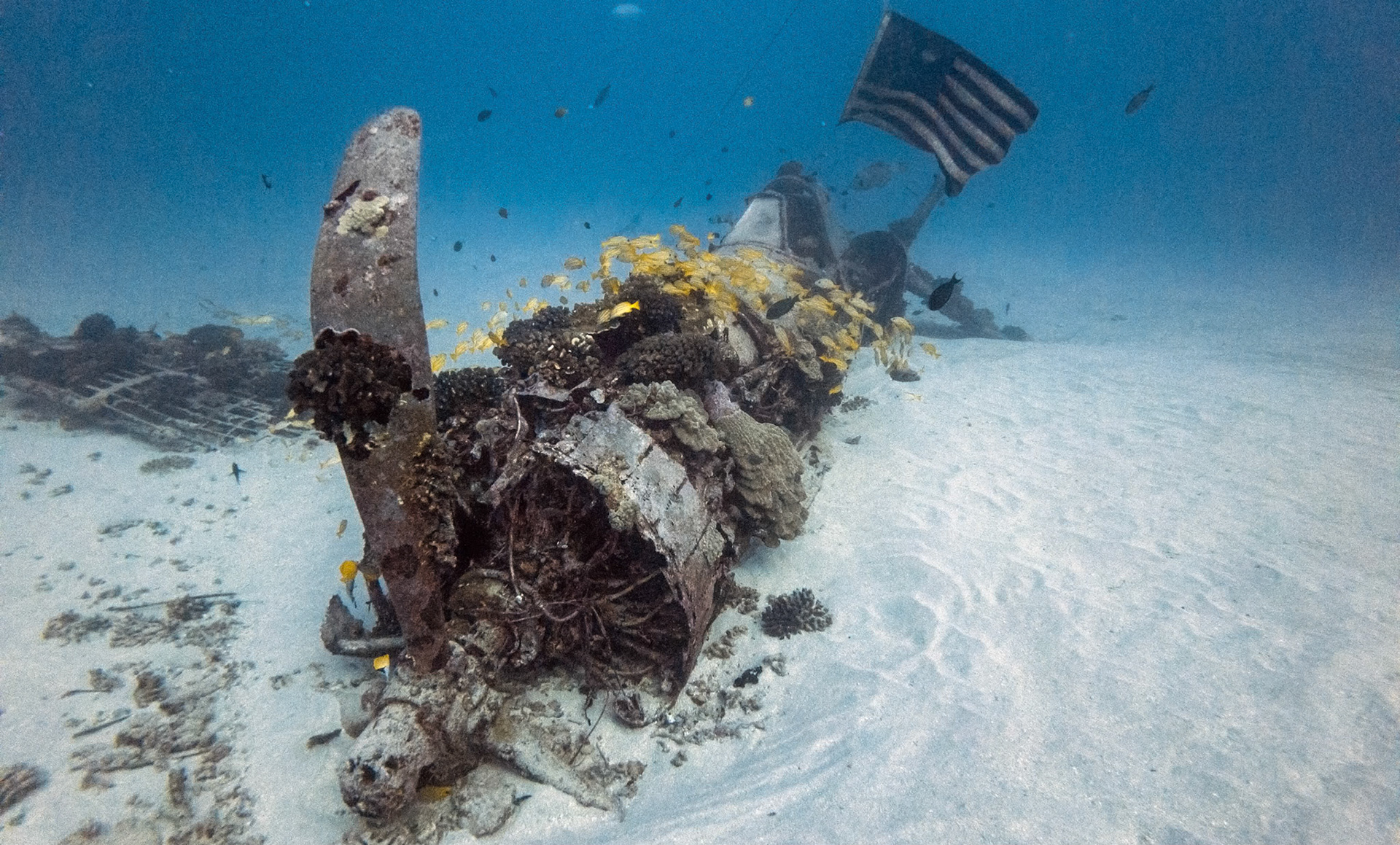 Great dive with Reef Pirates on the Corsair Wreck in 33m off Oahu.