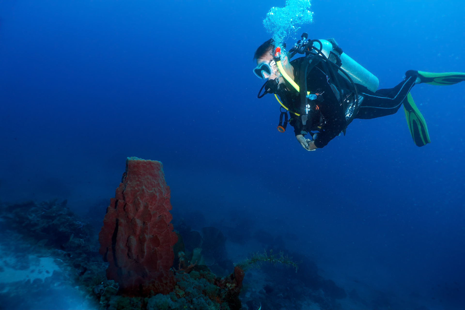 Simone from Thalassa instructed me on a couple of courses during my enjoyable stay at the Manado  resort.