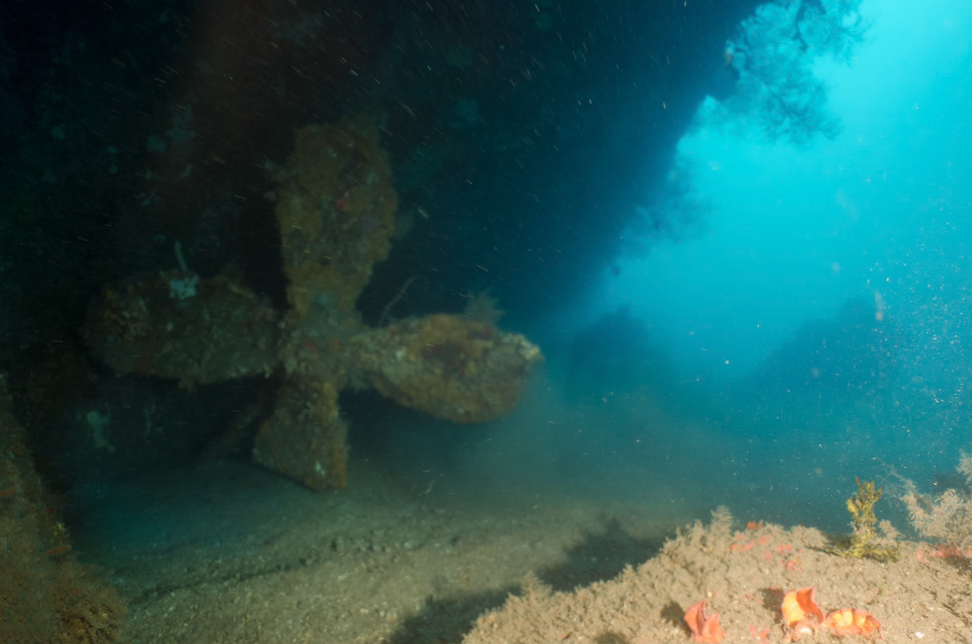In around 40m of water, the propeller of the Molas is for deep divers only. The wreck is located a few hundred metres from Thalassa Resort in Manado.