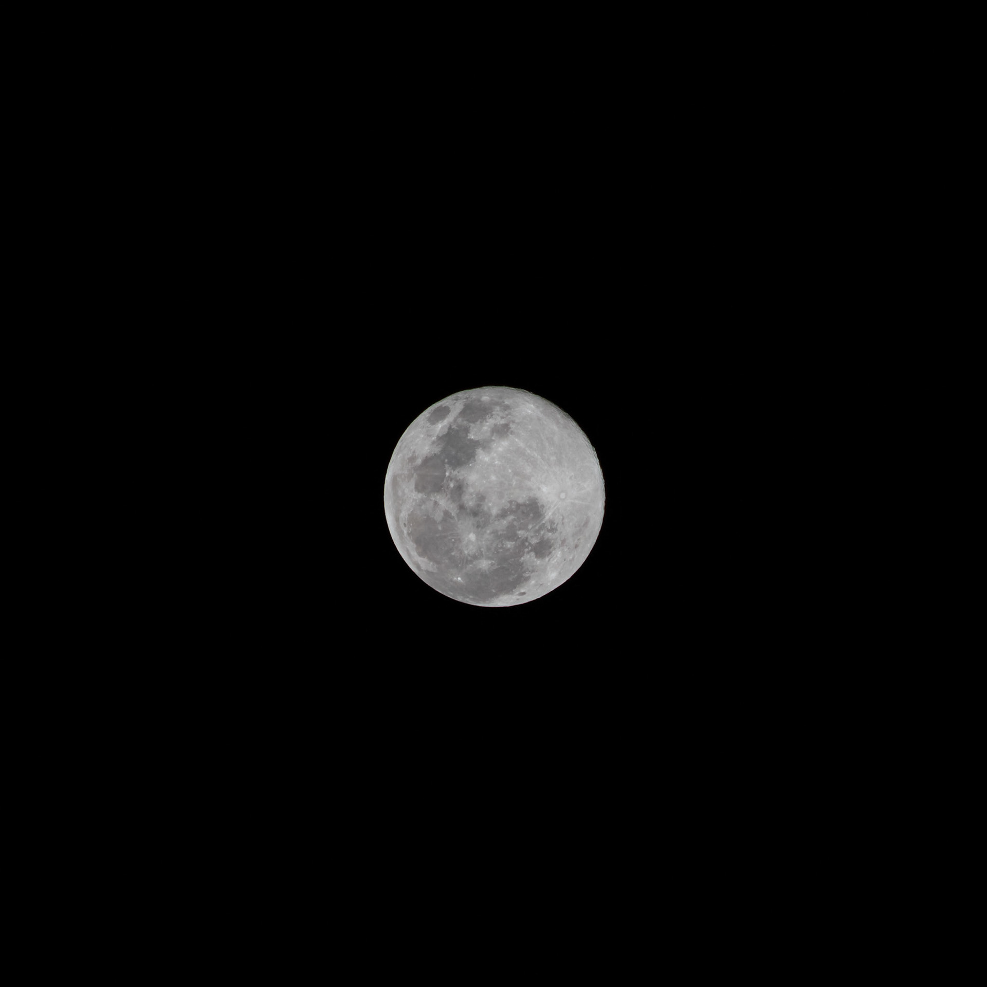 Full Moon - Parkland, FL - February 5, 2023