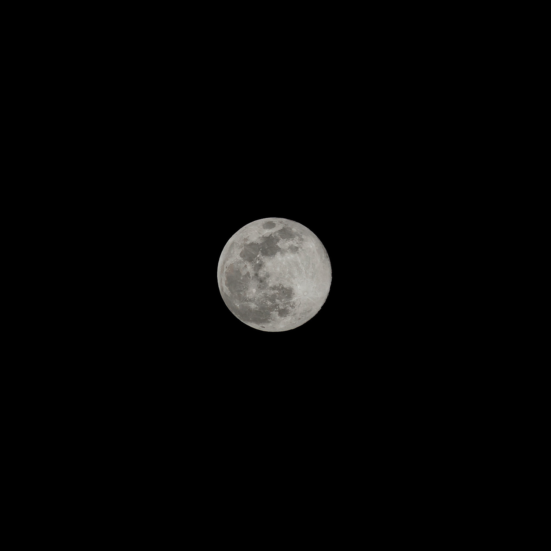 Wolf Moon - Parkland, FL - January 8, 2023
