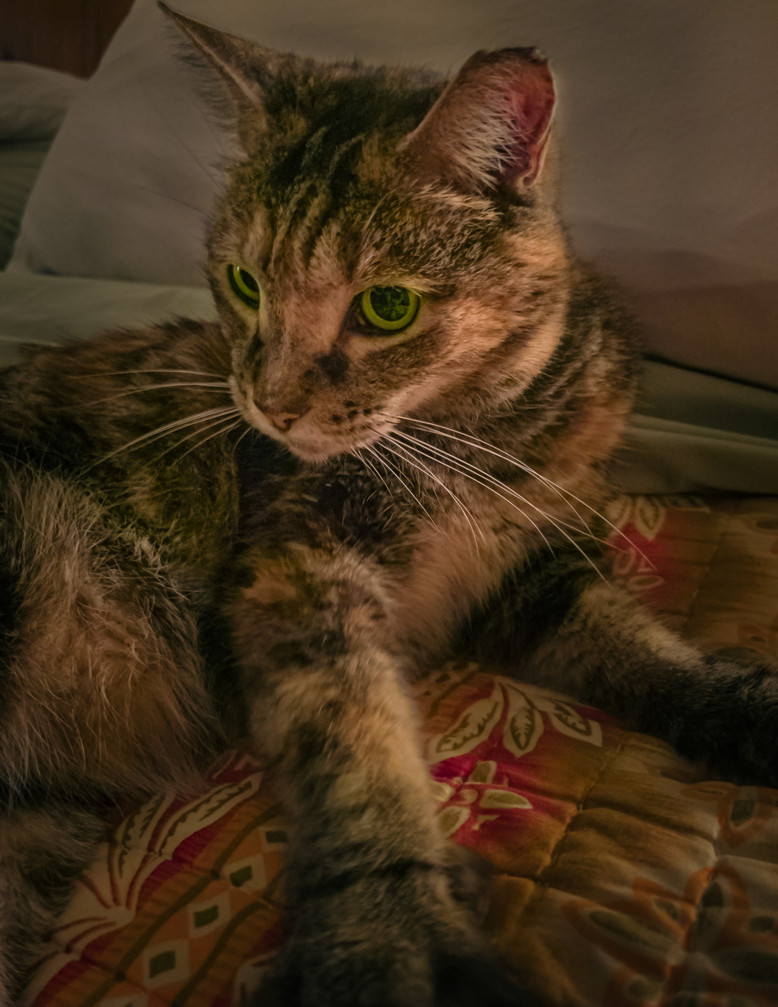 Missy - Parkland, FL - February 26, 2023
