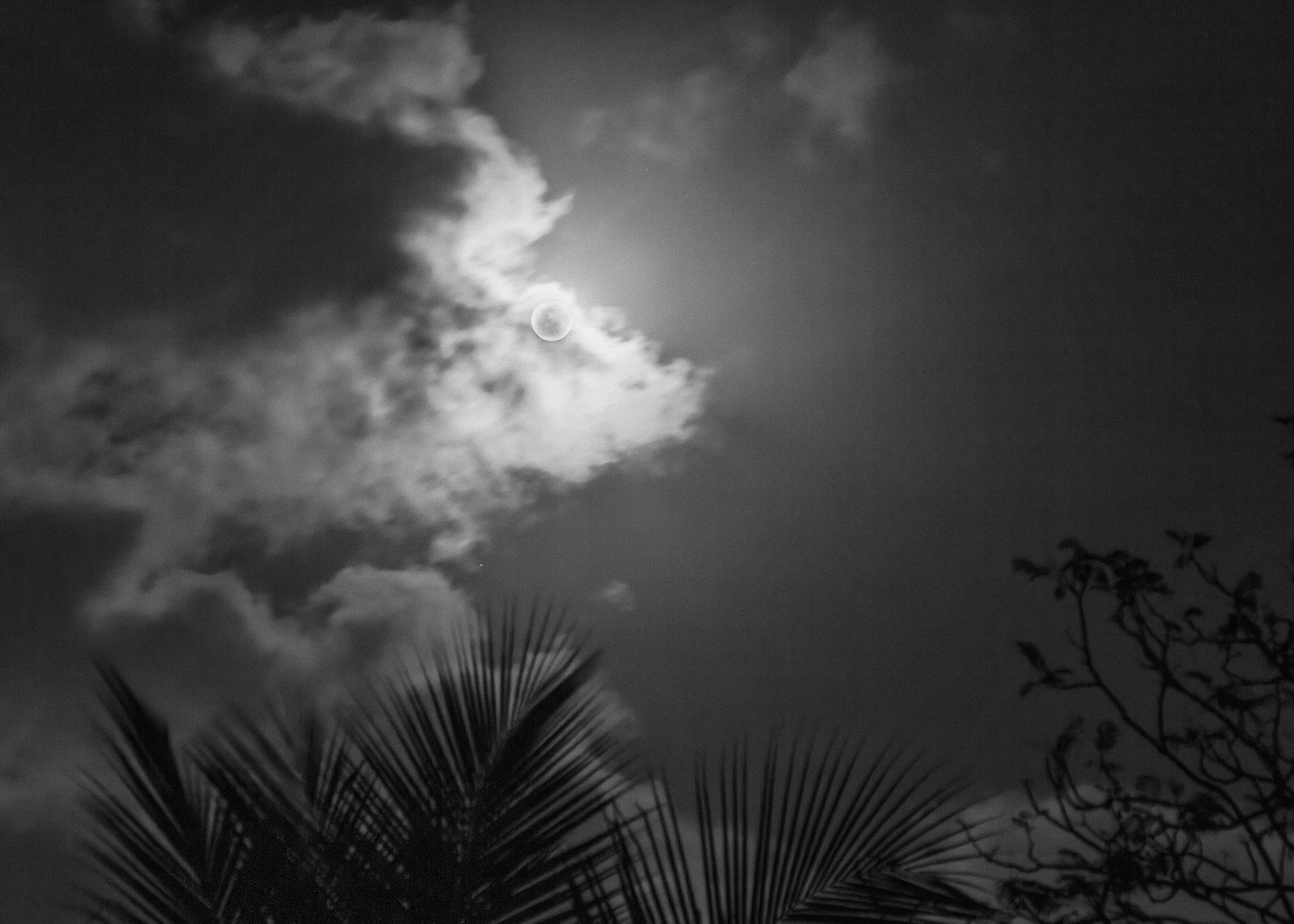 Moon in clouds, Parkland, FL - March 8, 2023