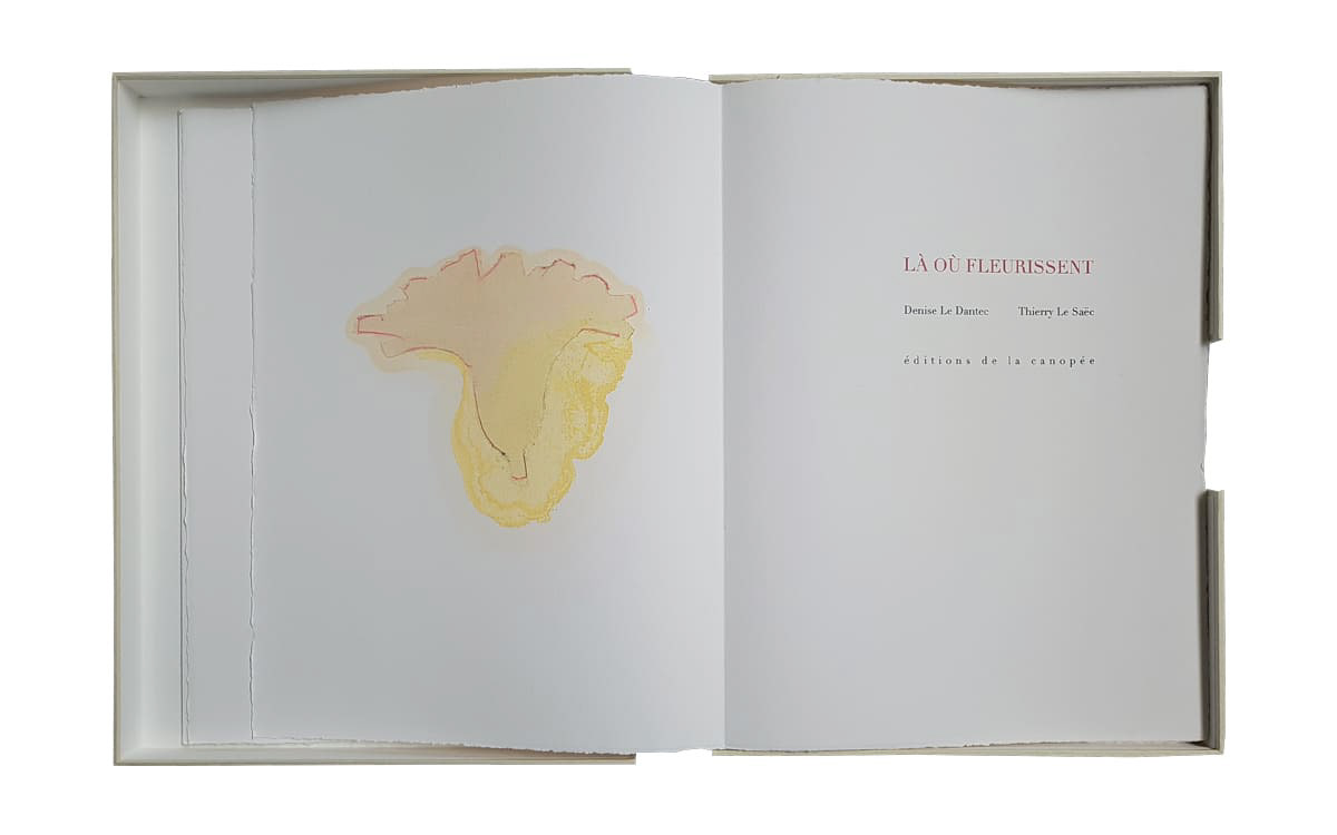 Denise Le Dantec : Là où fleurissent Ce poème inédit de Denise Le Dantec, a été composé en didot de corps 18 et enrichi de 14 dessins au pastel sec, à l’huile et à la cire de Thierry Le Saëc. Les textes ont été imprimés sur les presses des éditions de la canopée. L’emboîtage a été confié à l’atelier Jeanne Frère de Nantes. Il a été tiré à 12 exemplaires sur vélin BFK de rives, numérotés de I à XII dont trois exemplaires enrichis d’une suite des dessins sur du papier Tikataya. Tous les exemplaires sont signés par l’auteure et le peintre. achevé d’imprimer le 19 novembre 2020, à kergollaire en Languidic, pour les éditions de la canopée. Format fermé : 38 x 29 cm. Format ouvert (livre en leperello) 38 x 616 cm.