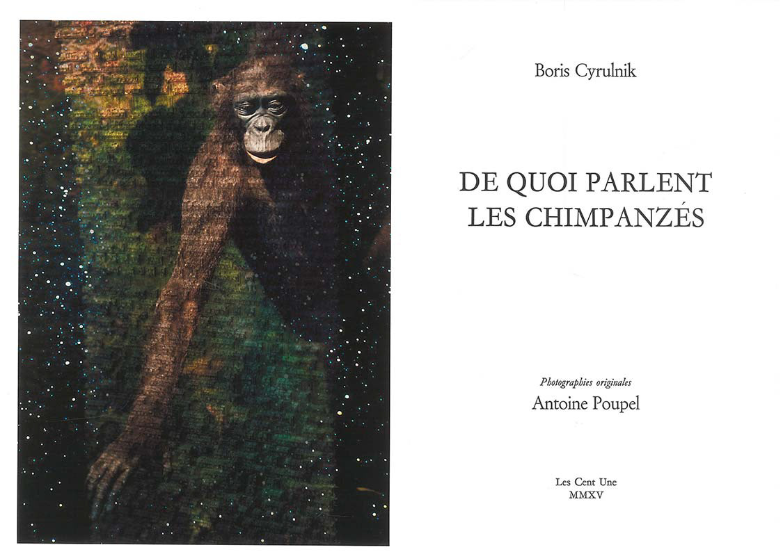 De quoi parlent les chimpanzés, Boris Cyrulnik, illustrated by Antoine Poupel, 2015 © Cent Une