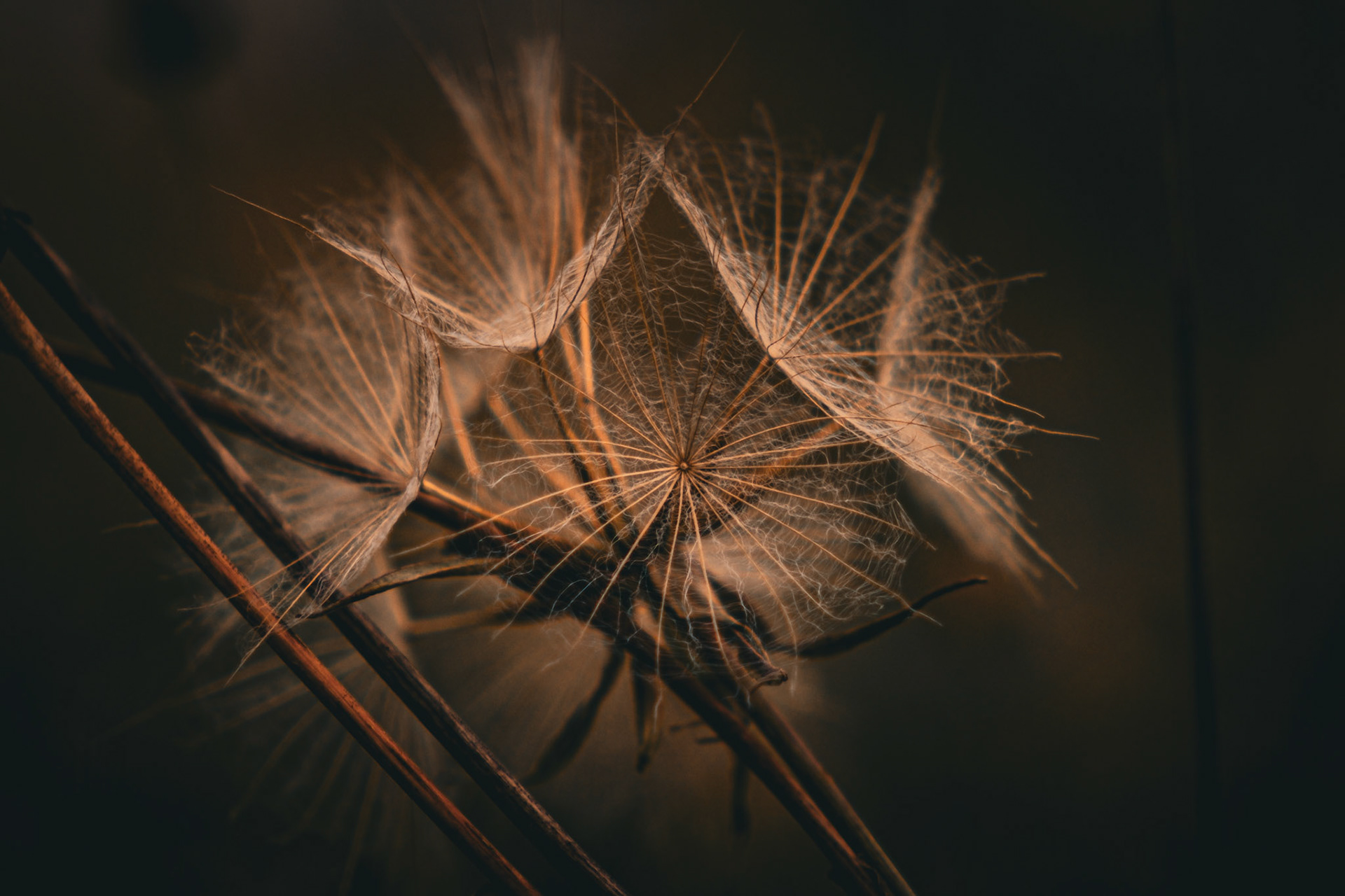 #Nature