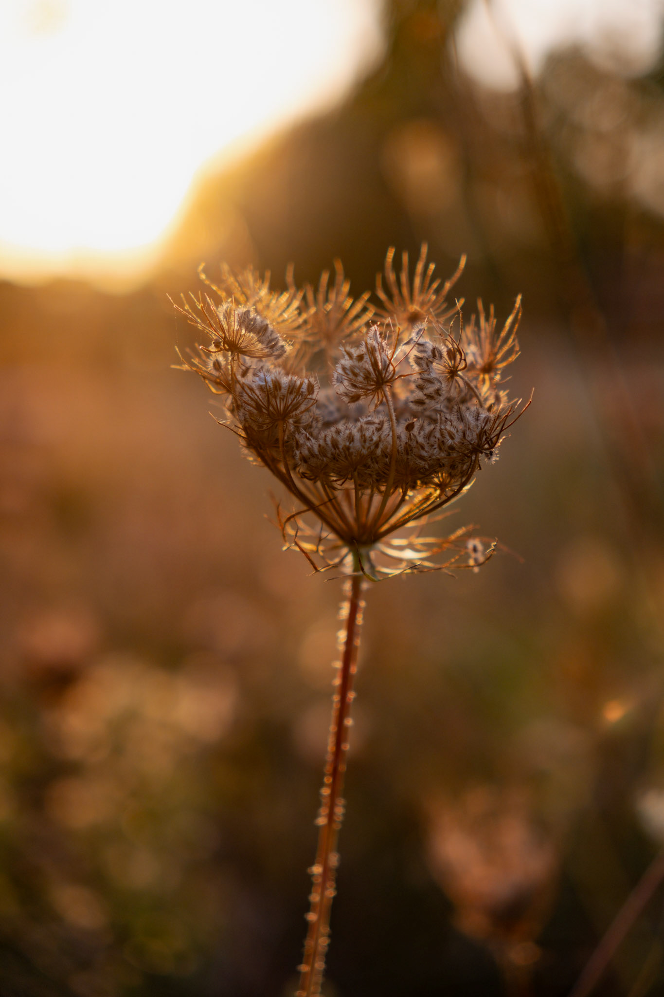 #Nature