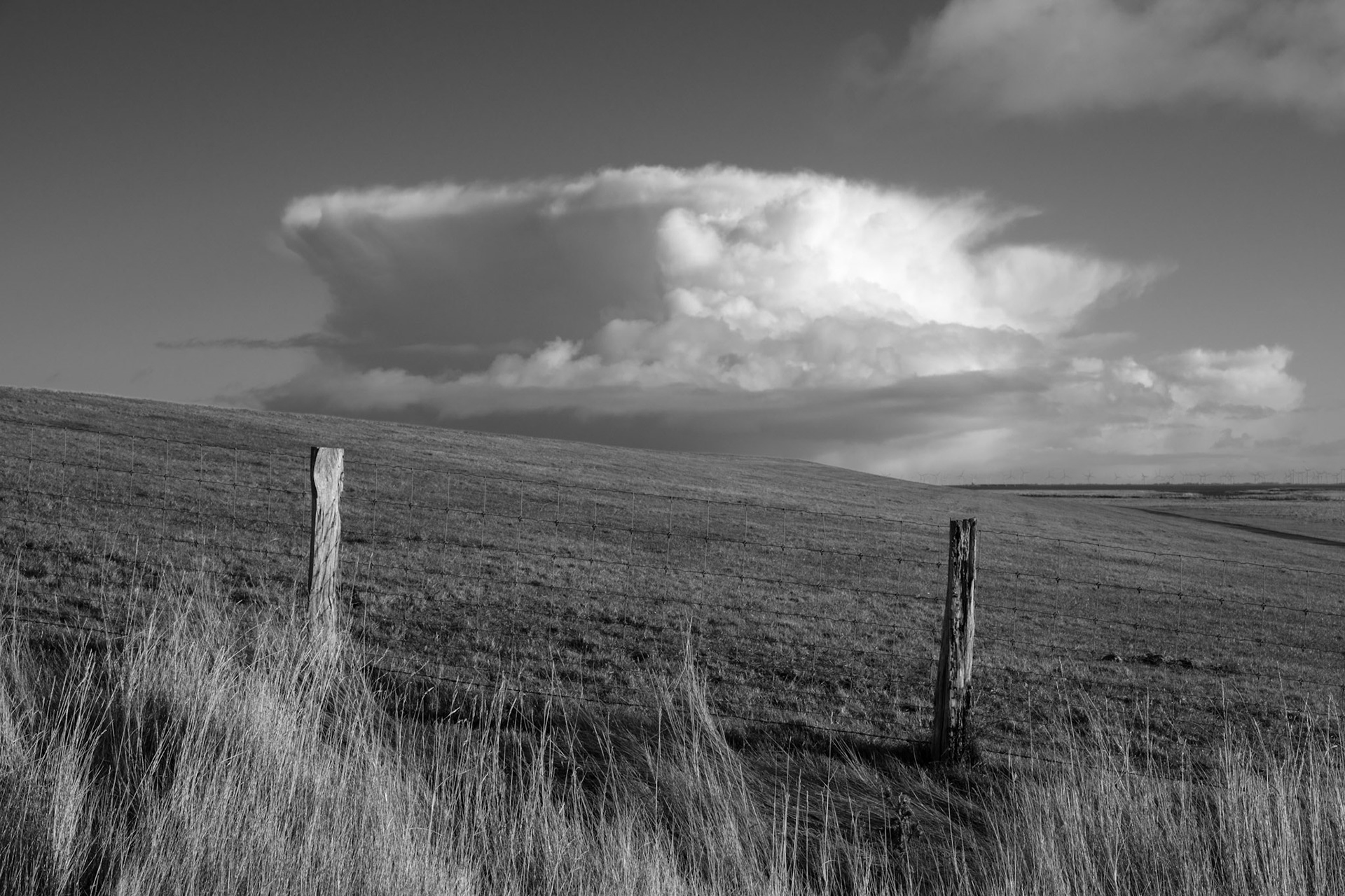 #Sankt Peter-Ording7