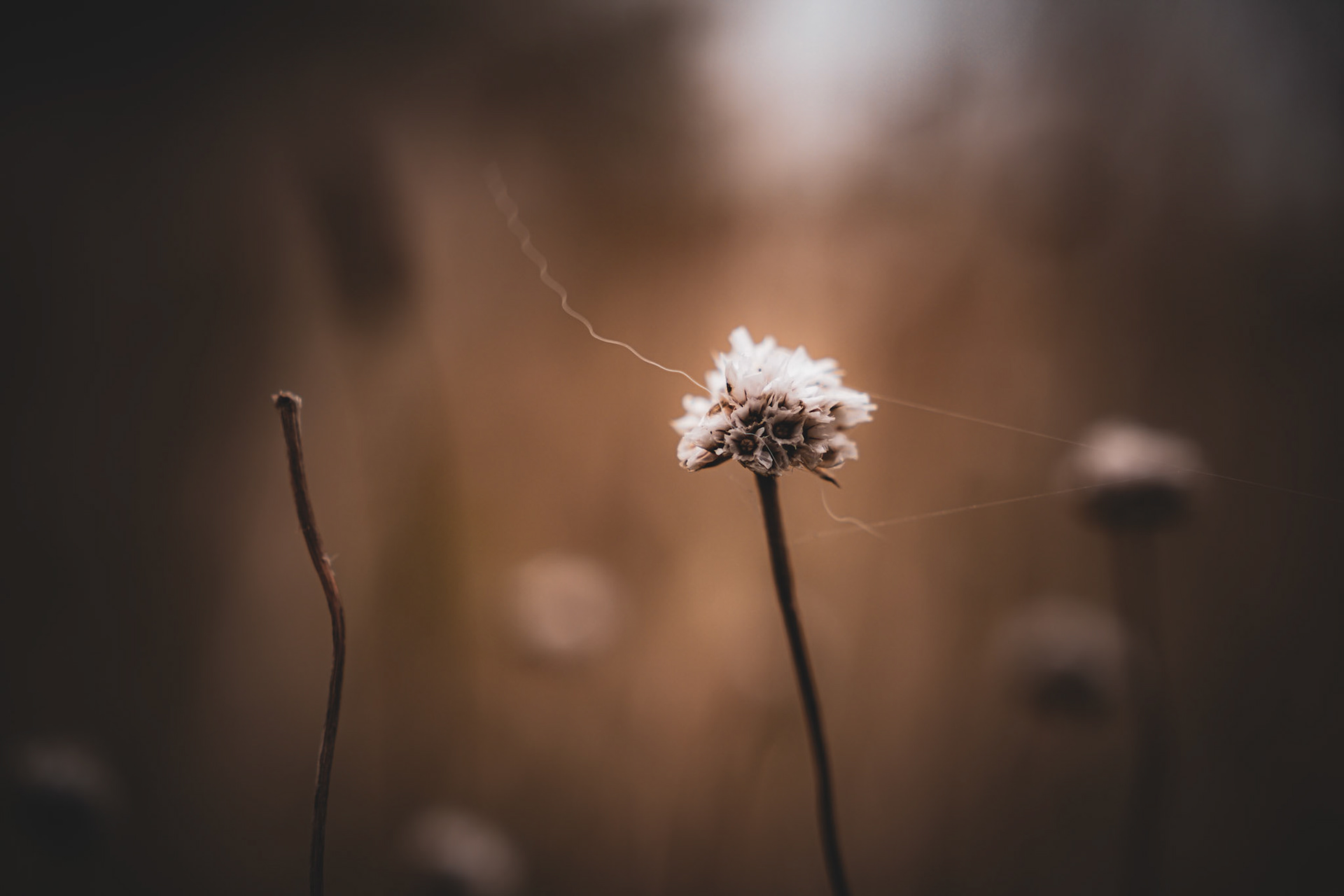 #Nature