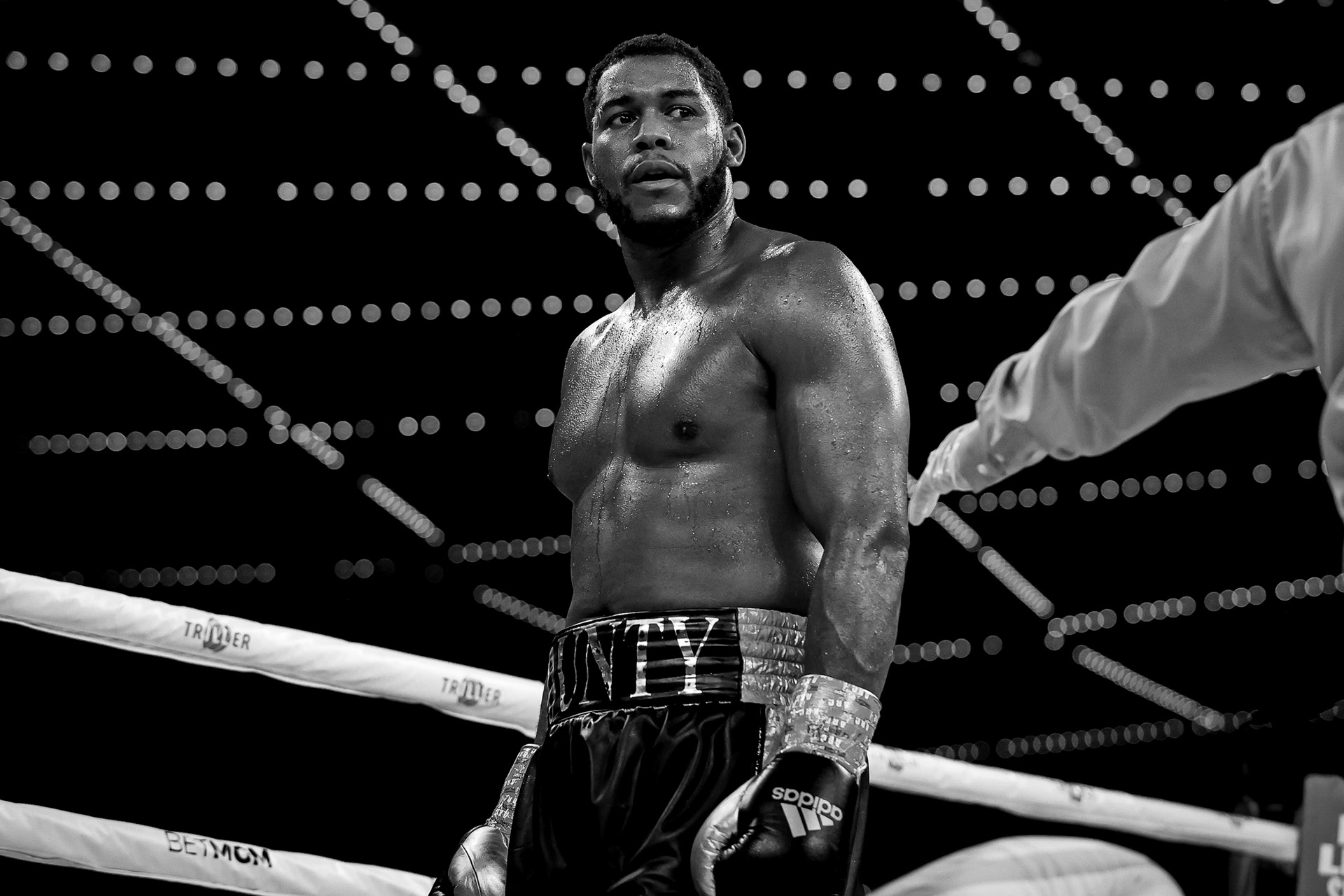 photo credit: Amanda Westcott