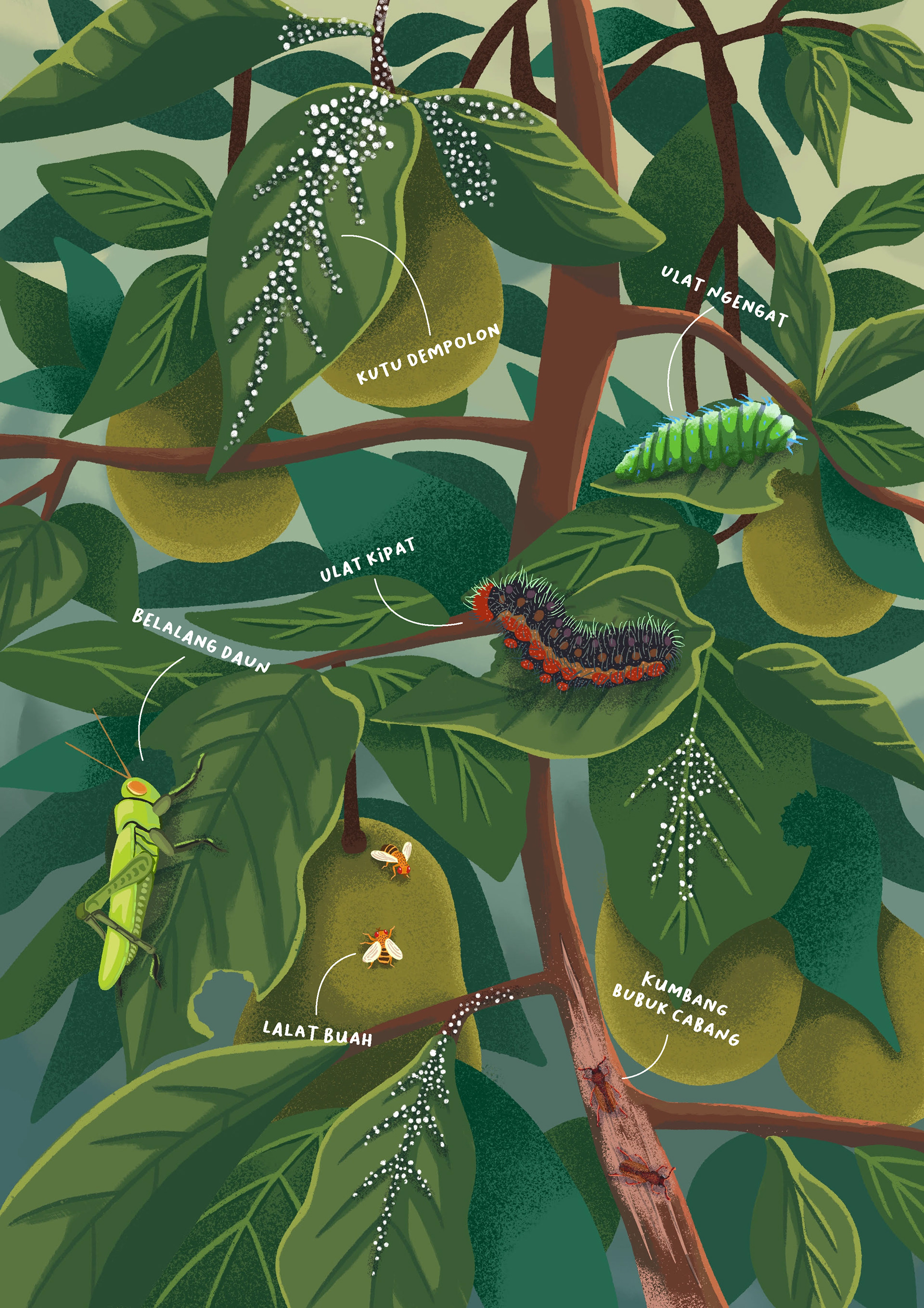 Single Page Illustration - Kupu-kupu