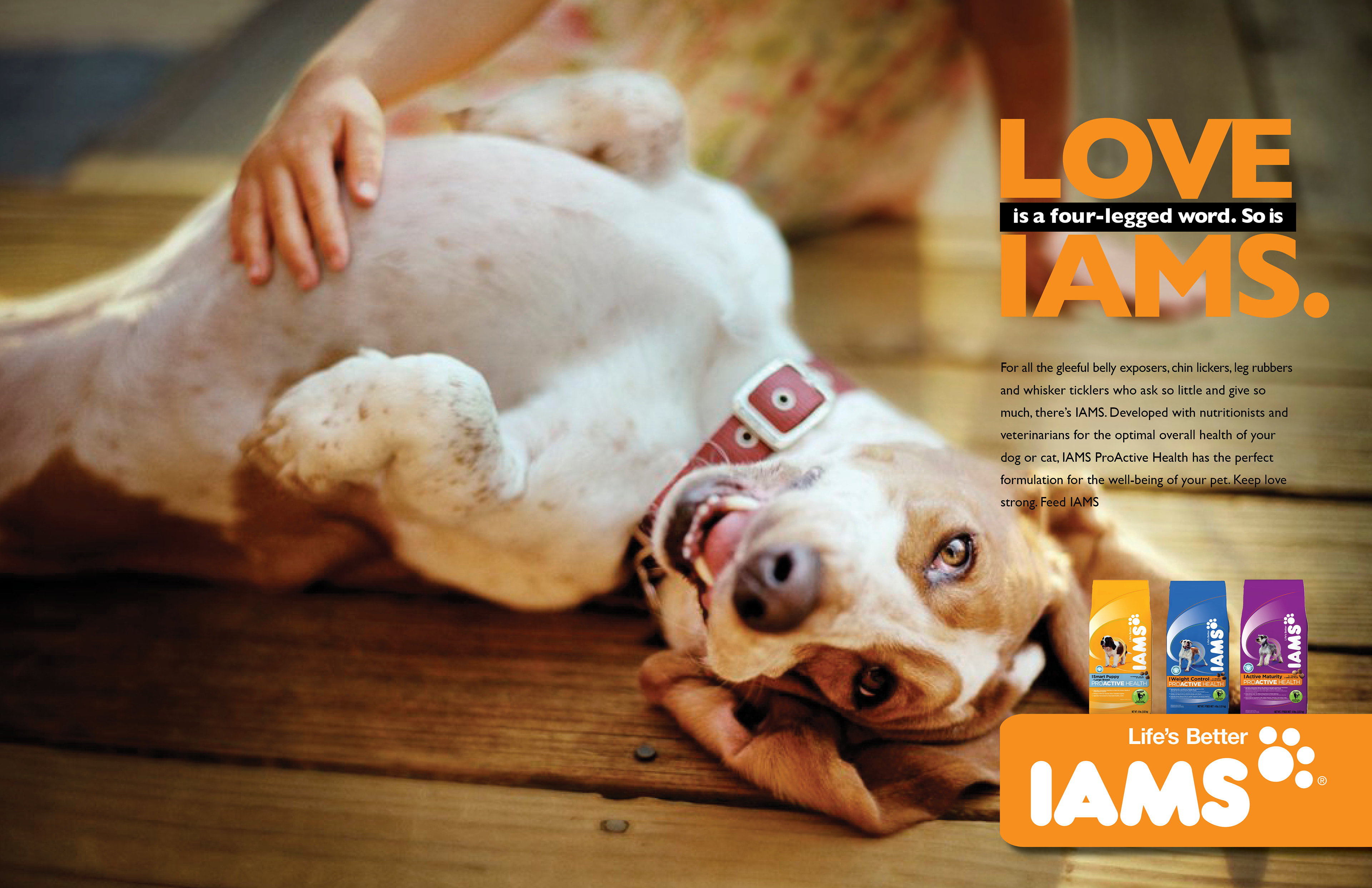 IAMS print