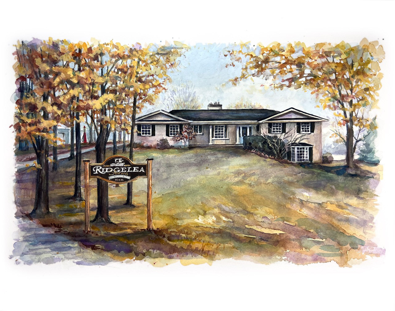 11 x 16