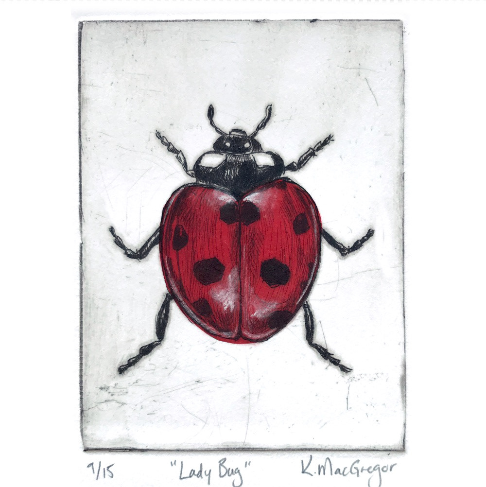 Red Lady Bug - Available