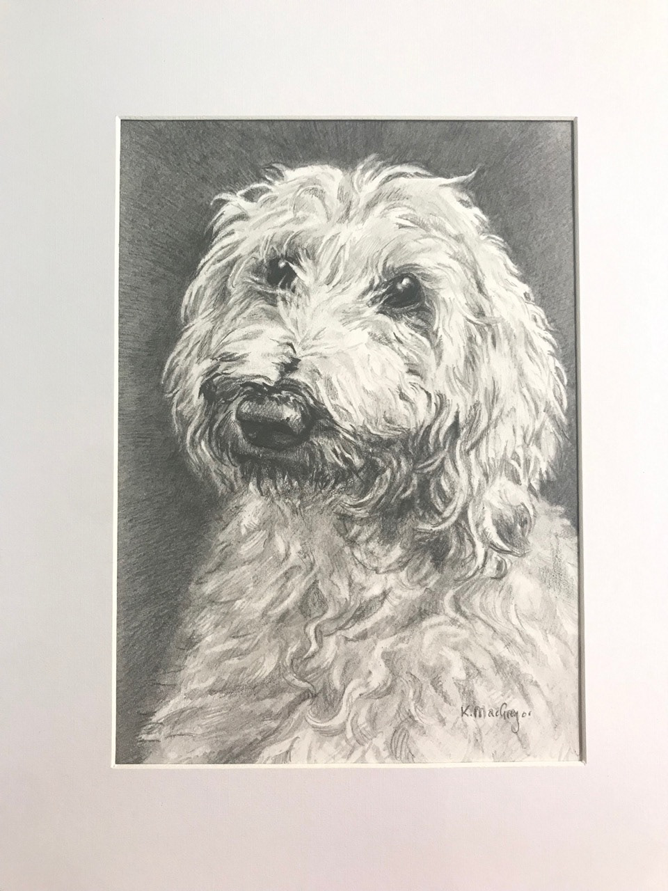 Dog - Sketch - 8 x 10