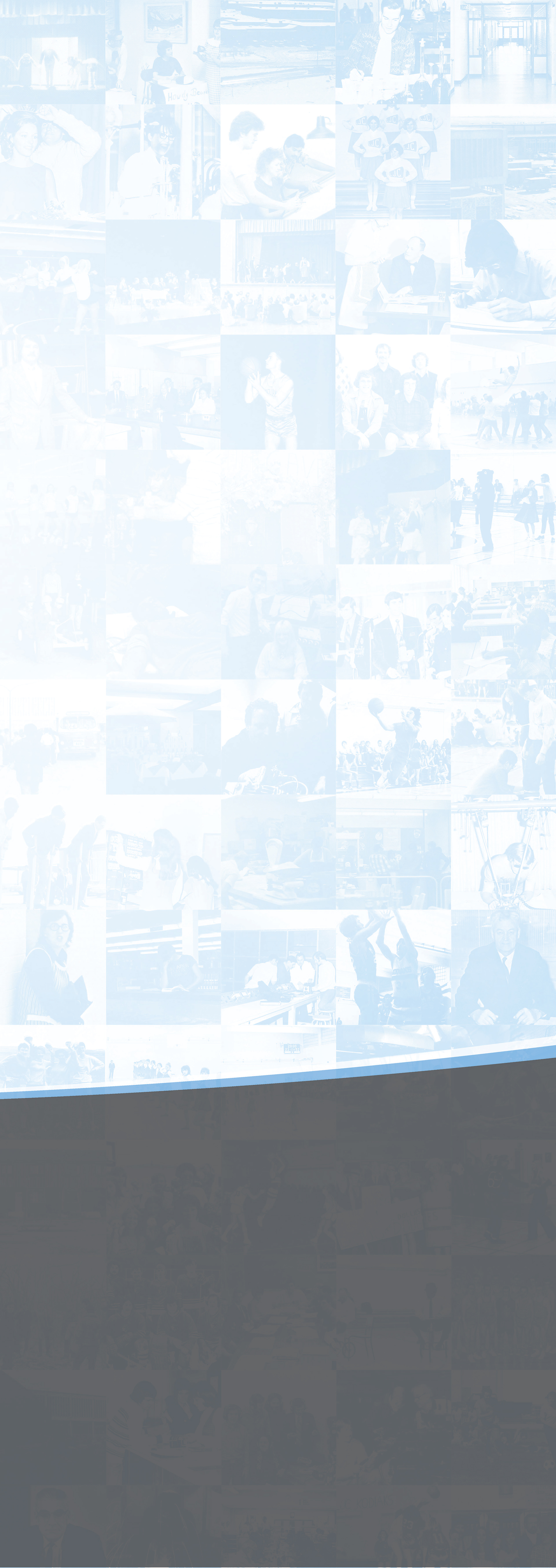 3 Panel Pull-up Banner
