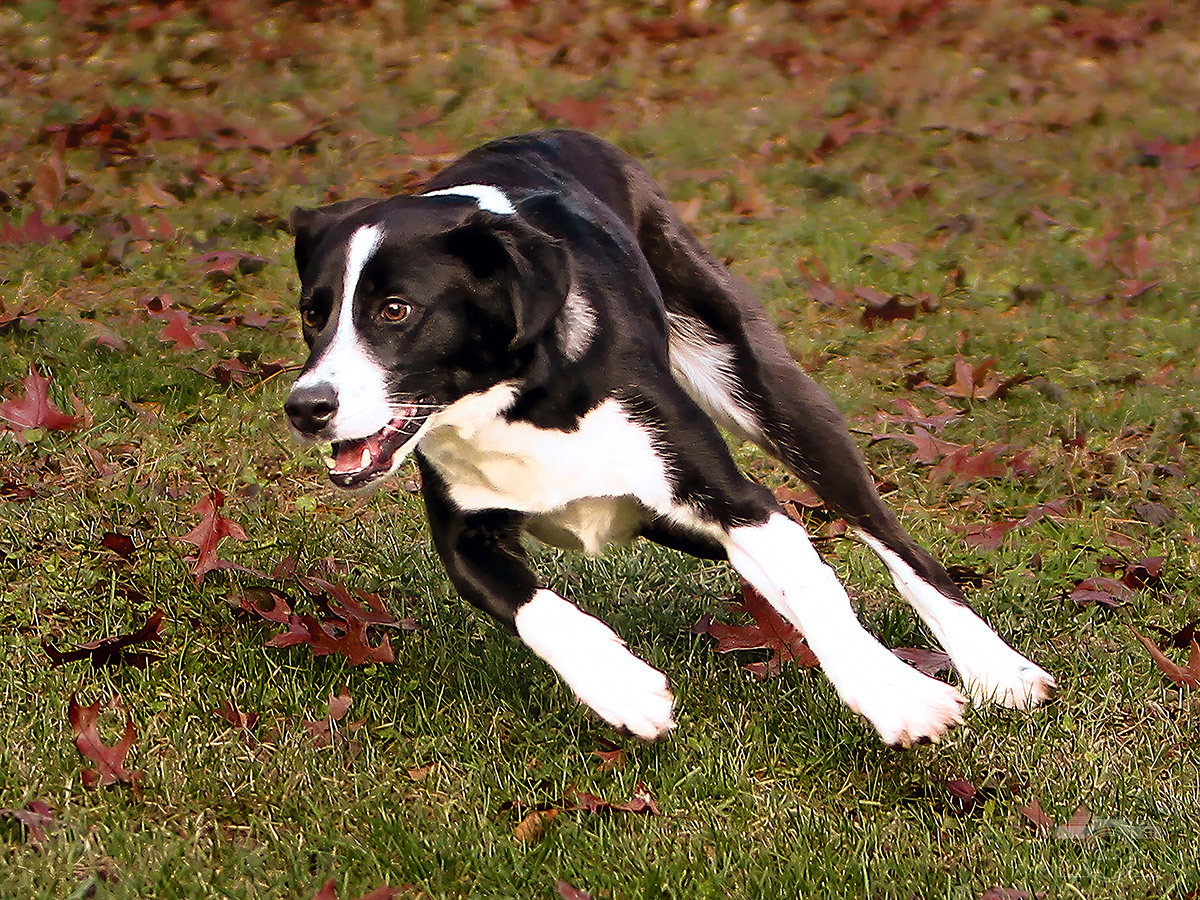 Alex's favorite... Lily