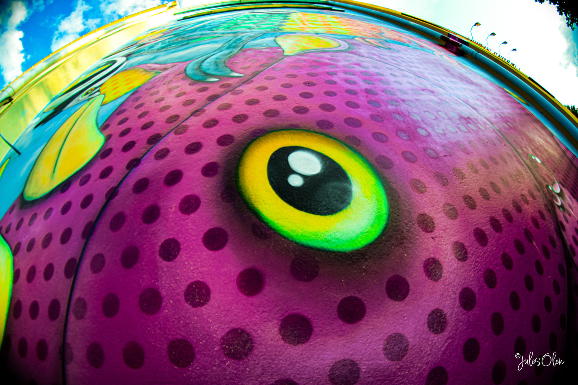 Artwork by @timtimmey