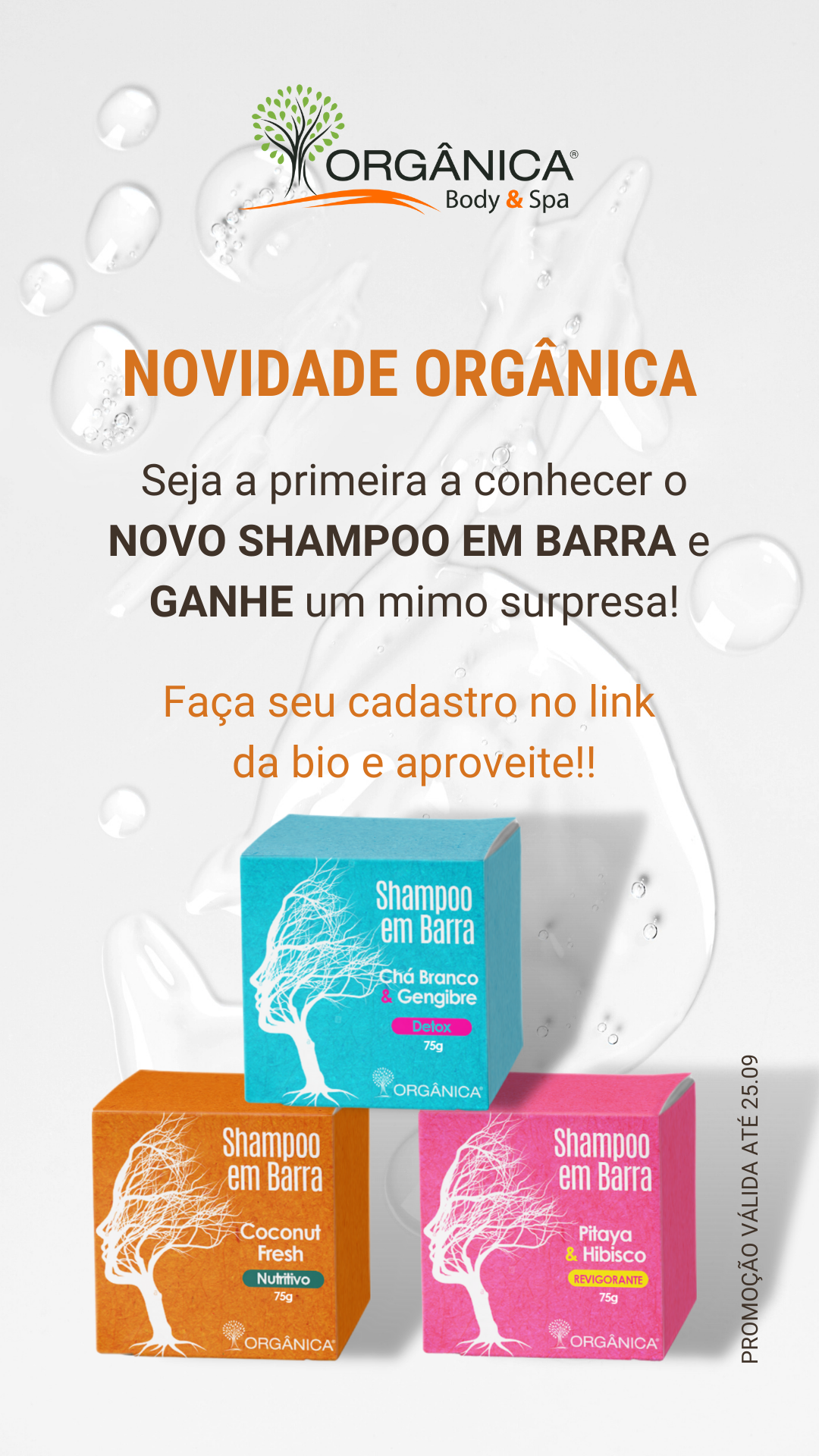 Campanha de Lançamento