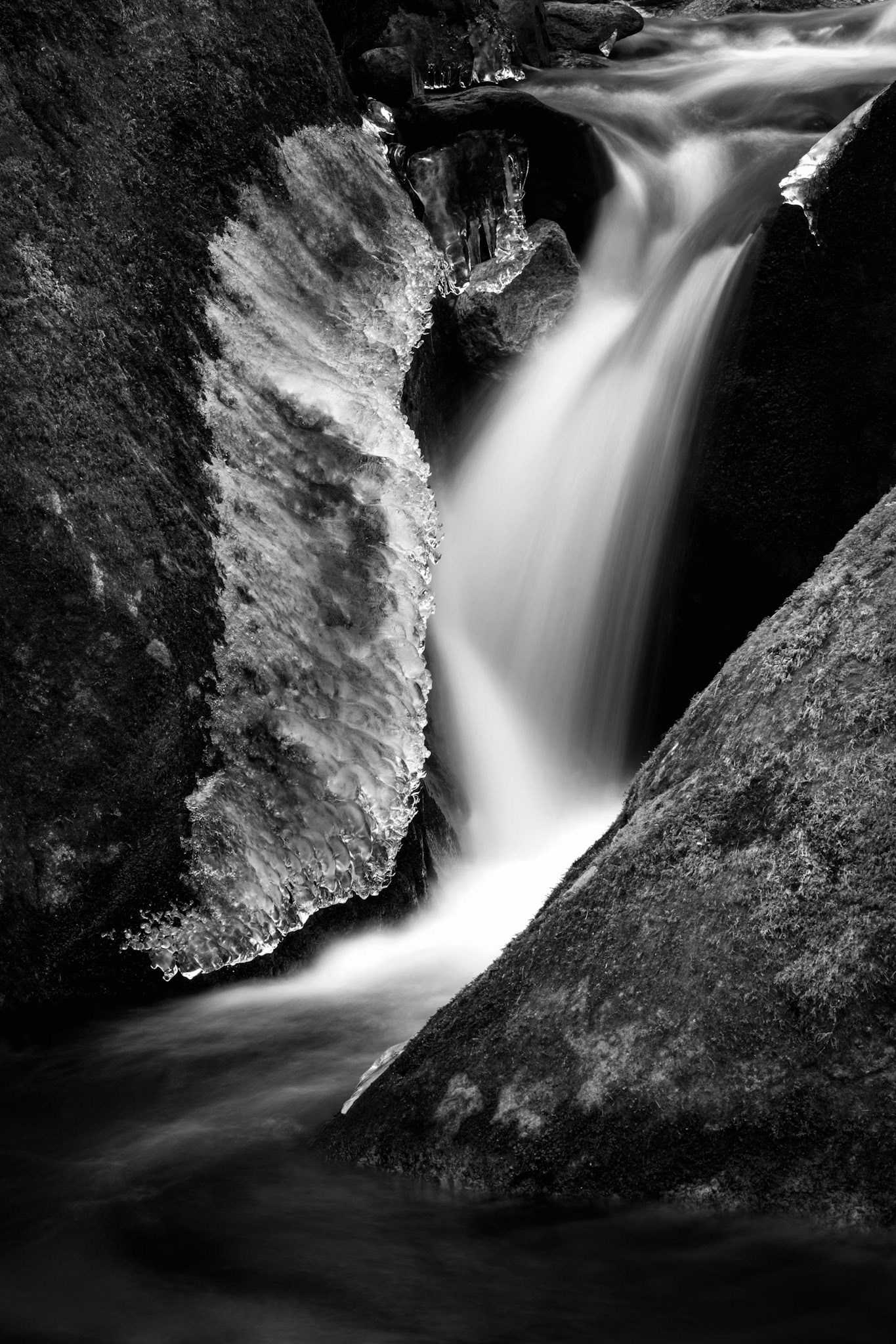 Rocky Fork, TN