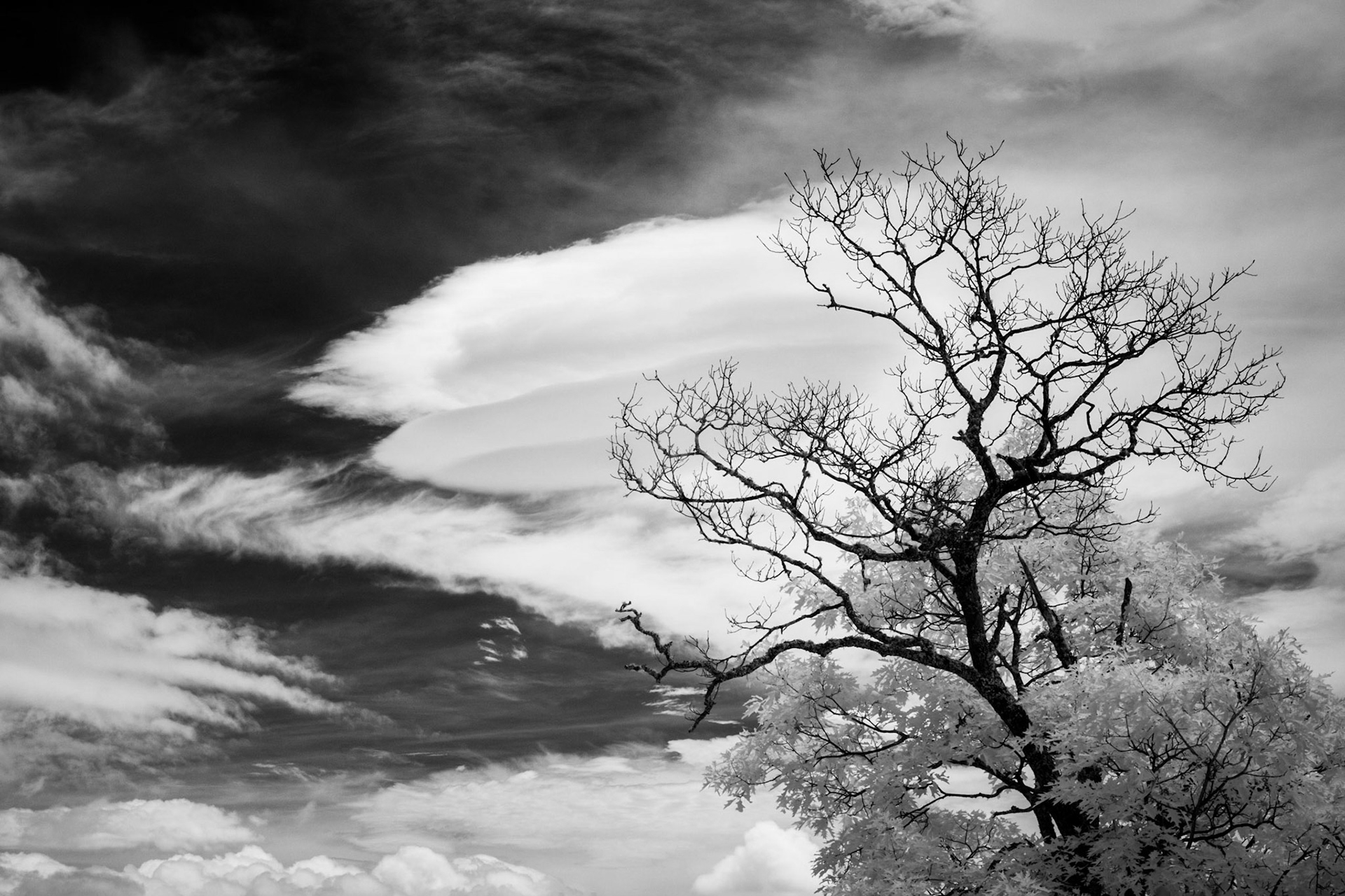 Lenticular from Parkway