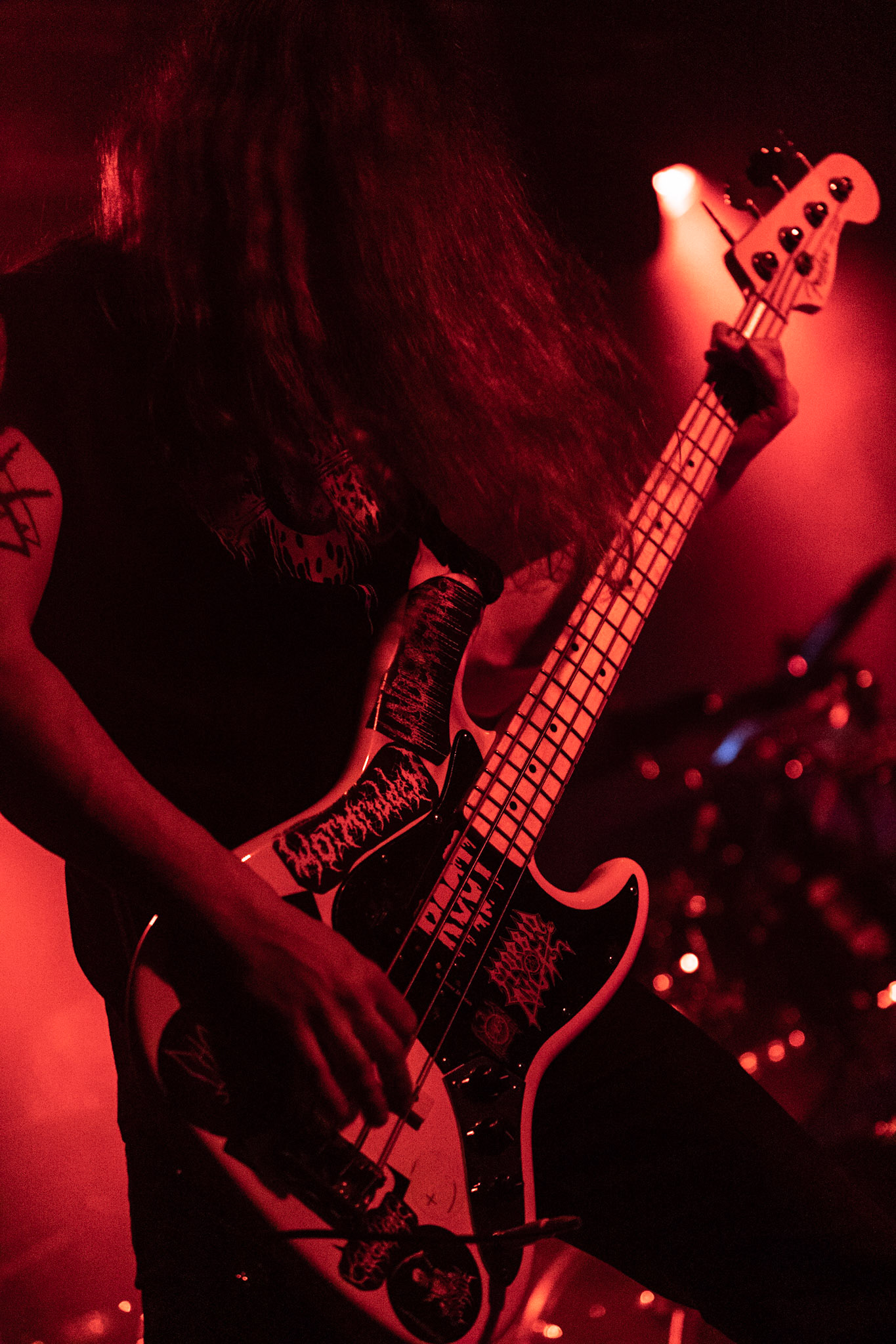 GOREPHILIA