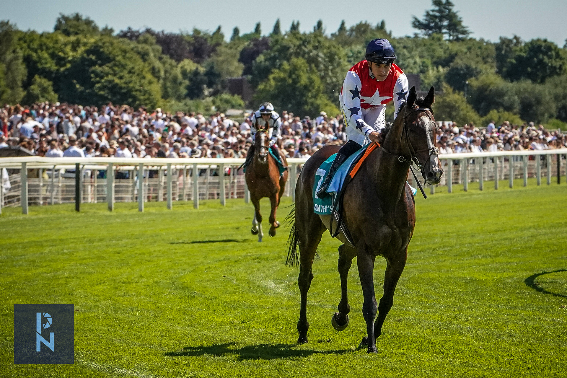 York Races