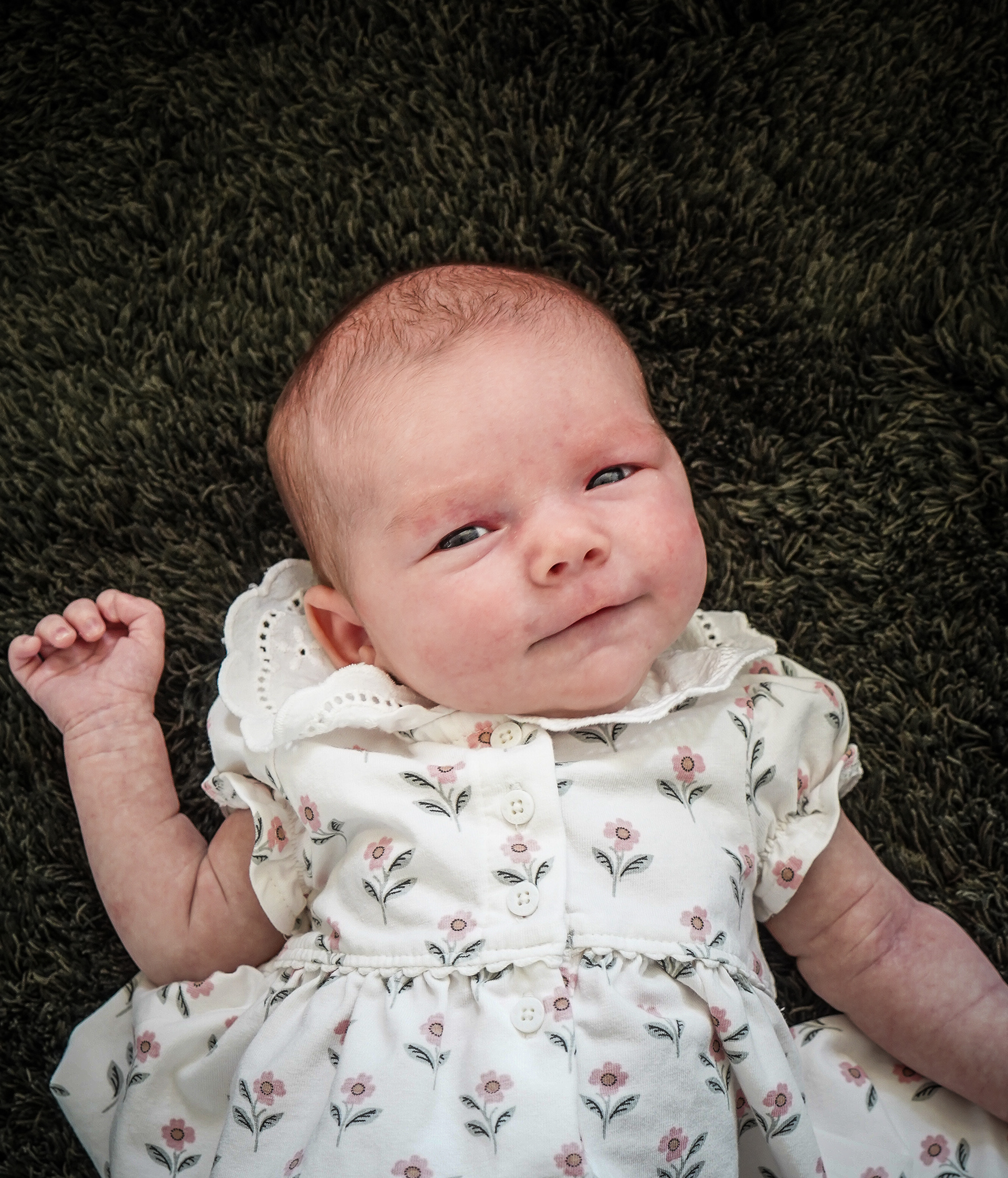Newborn Shoot