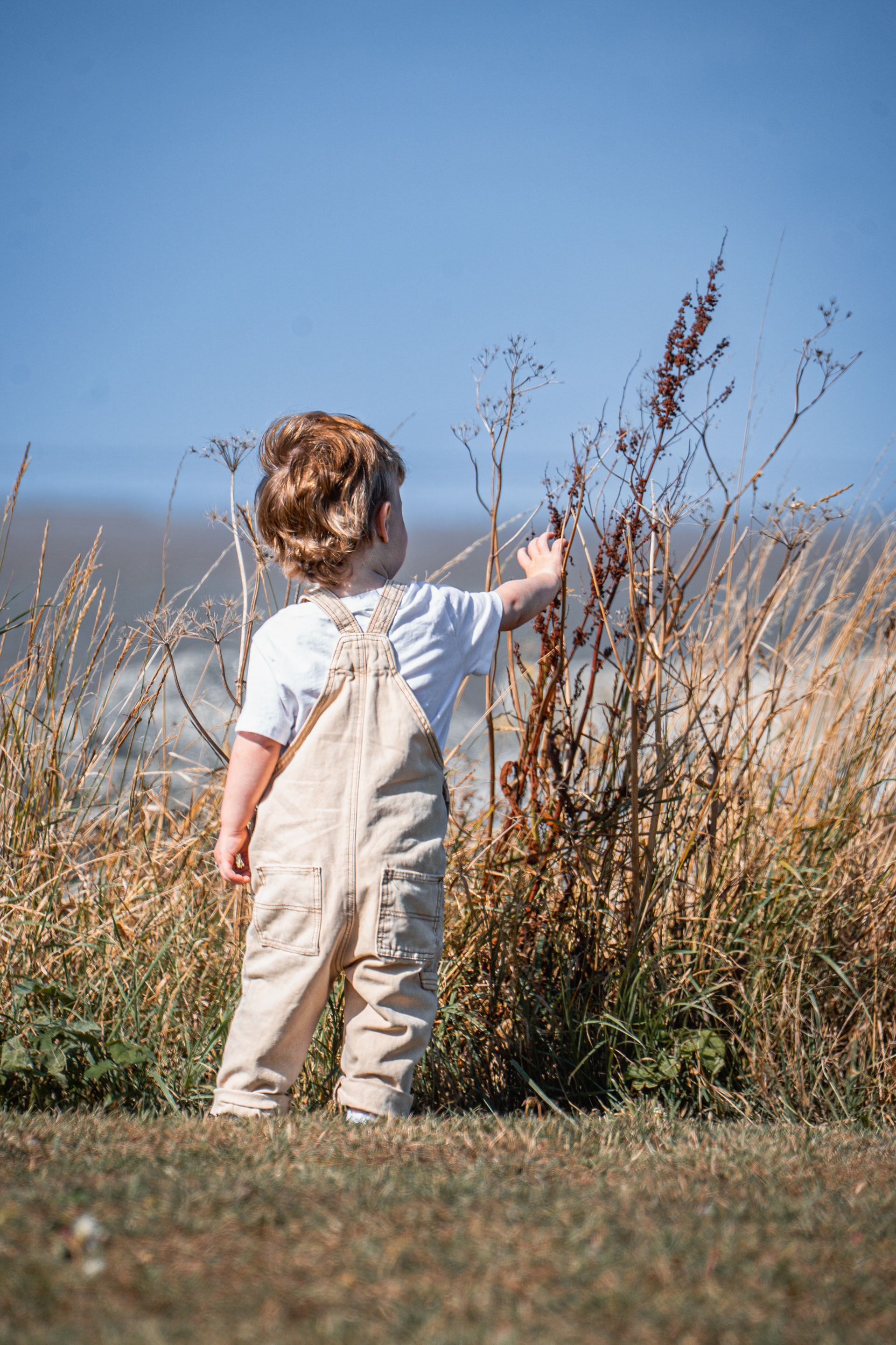 Toddler Shoot