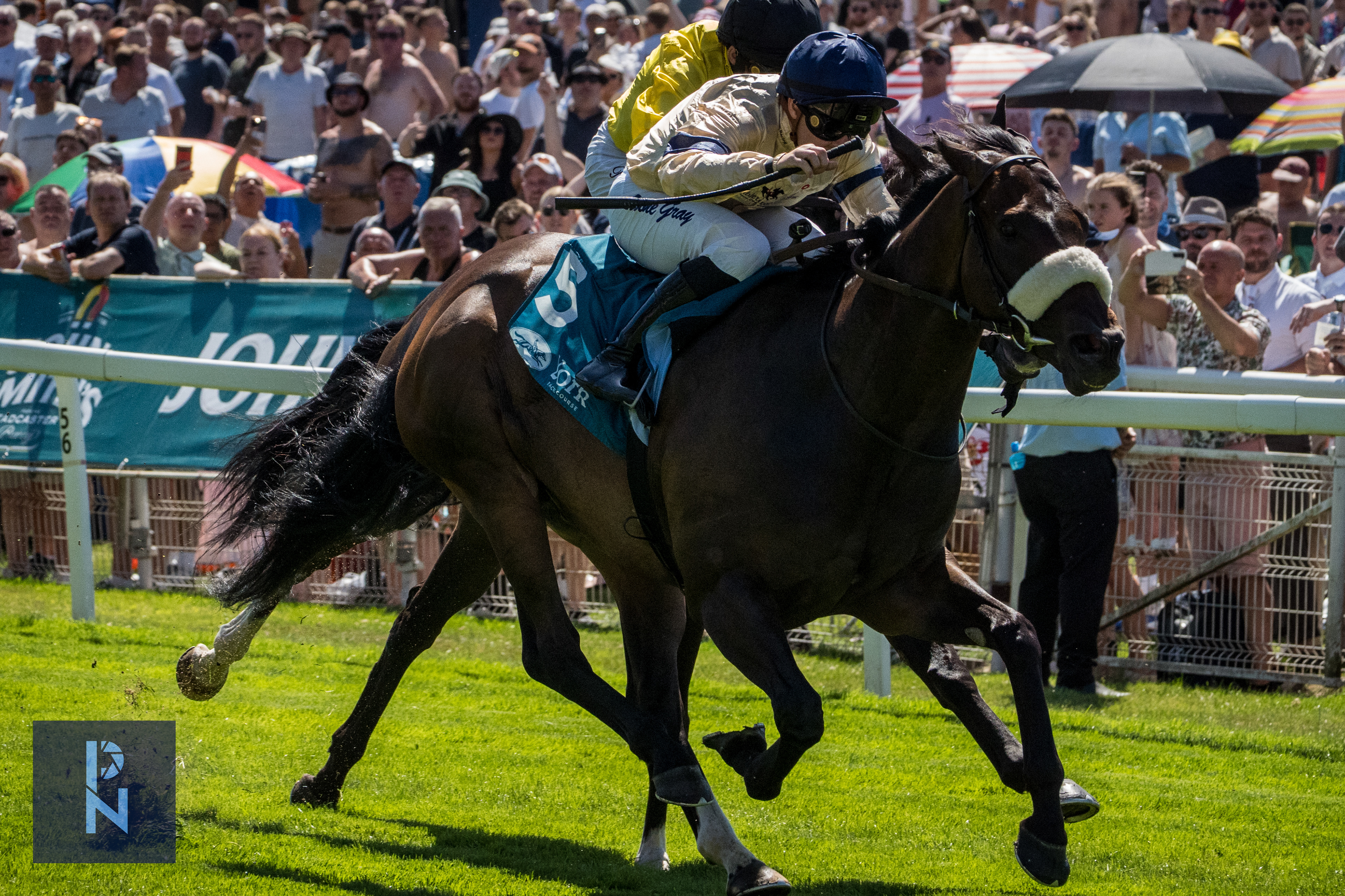 York Races