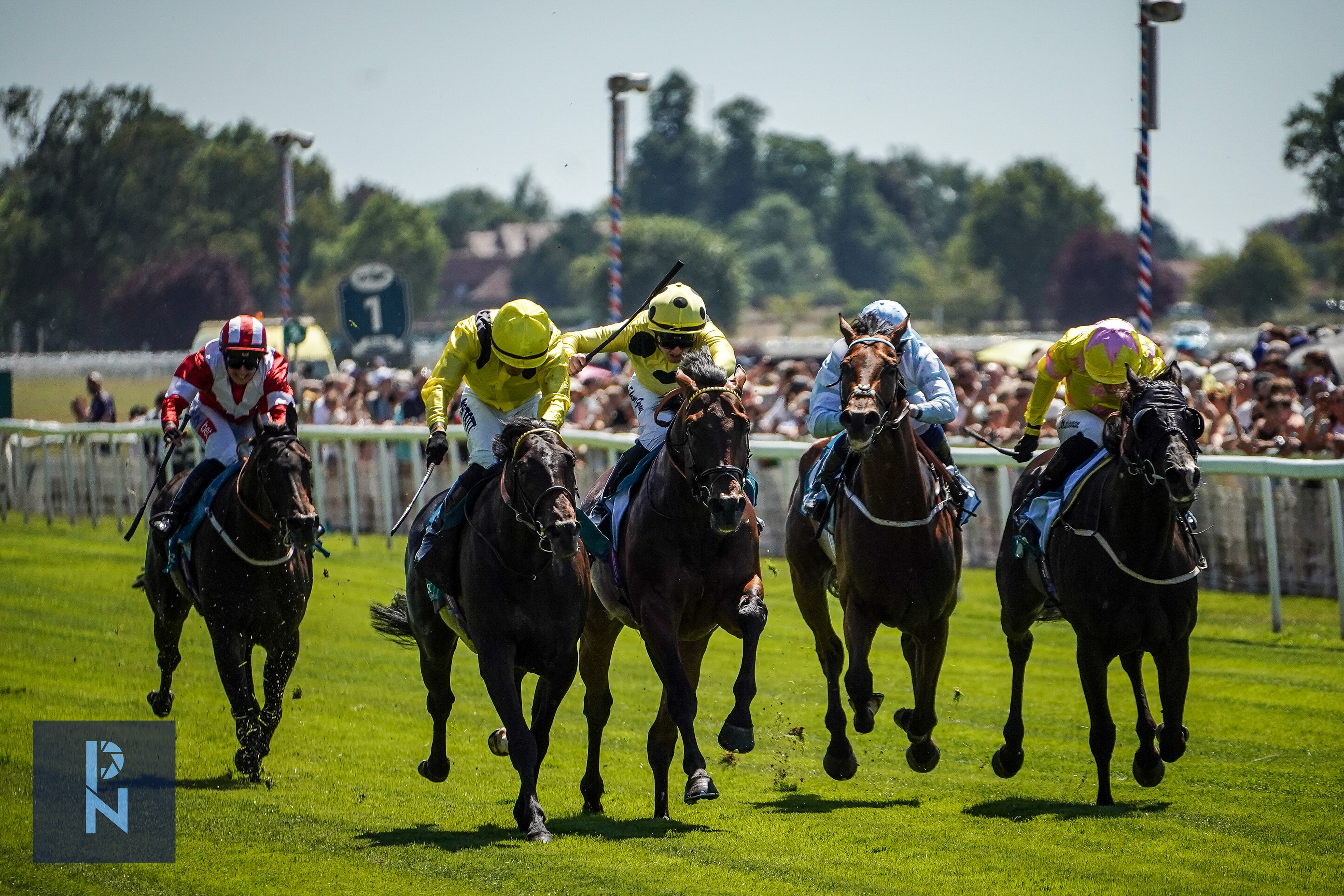 York Races