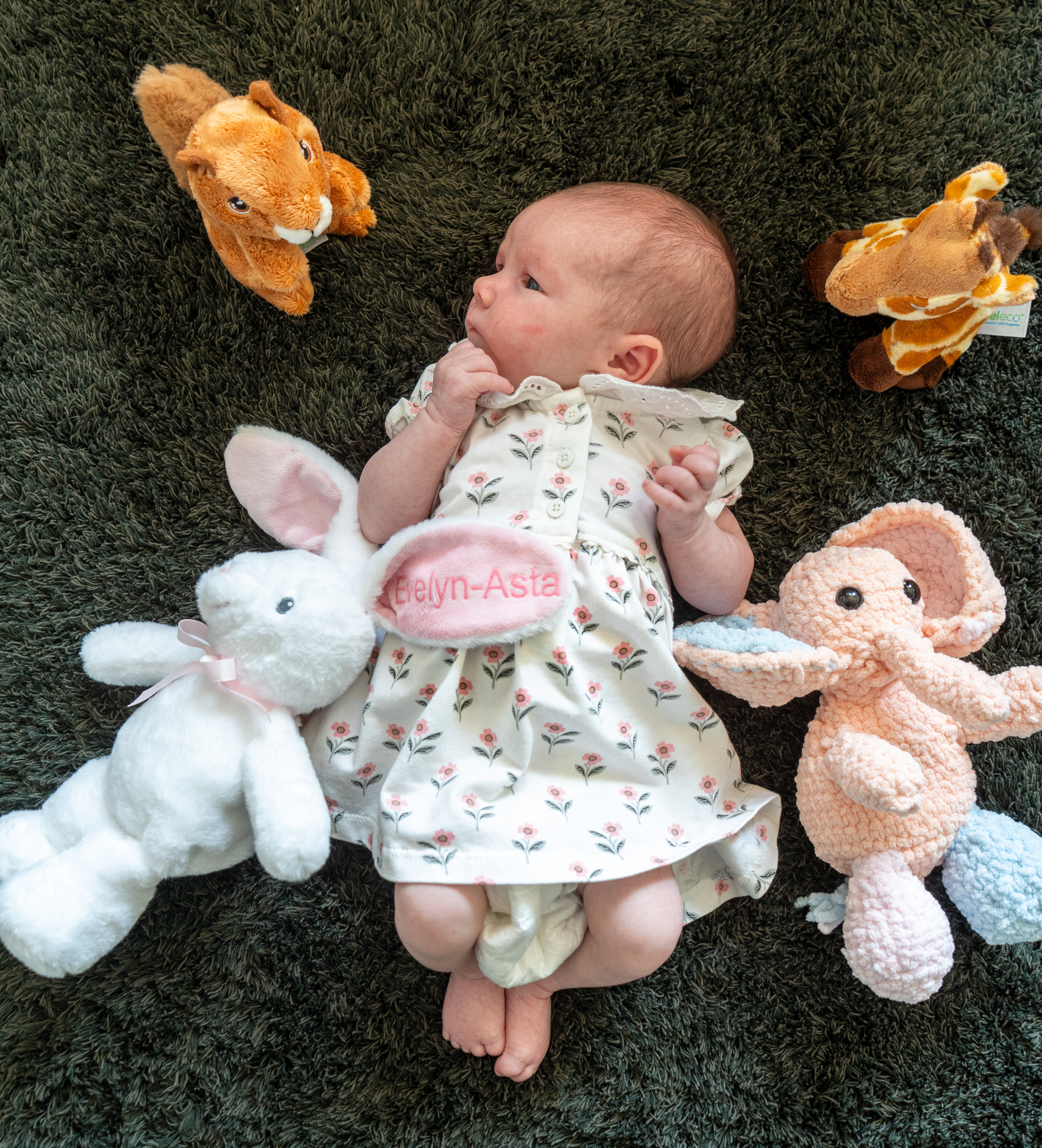 Newborn Shoot