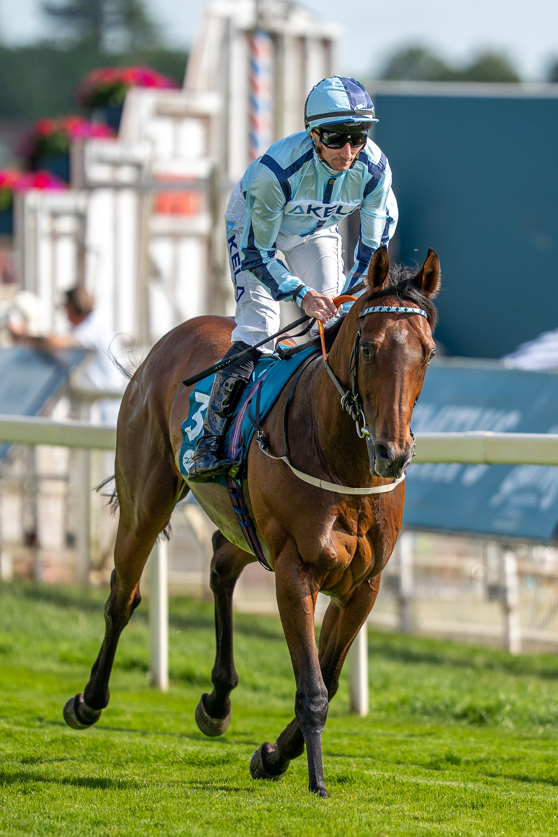 York Races