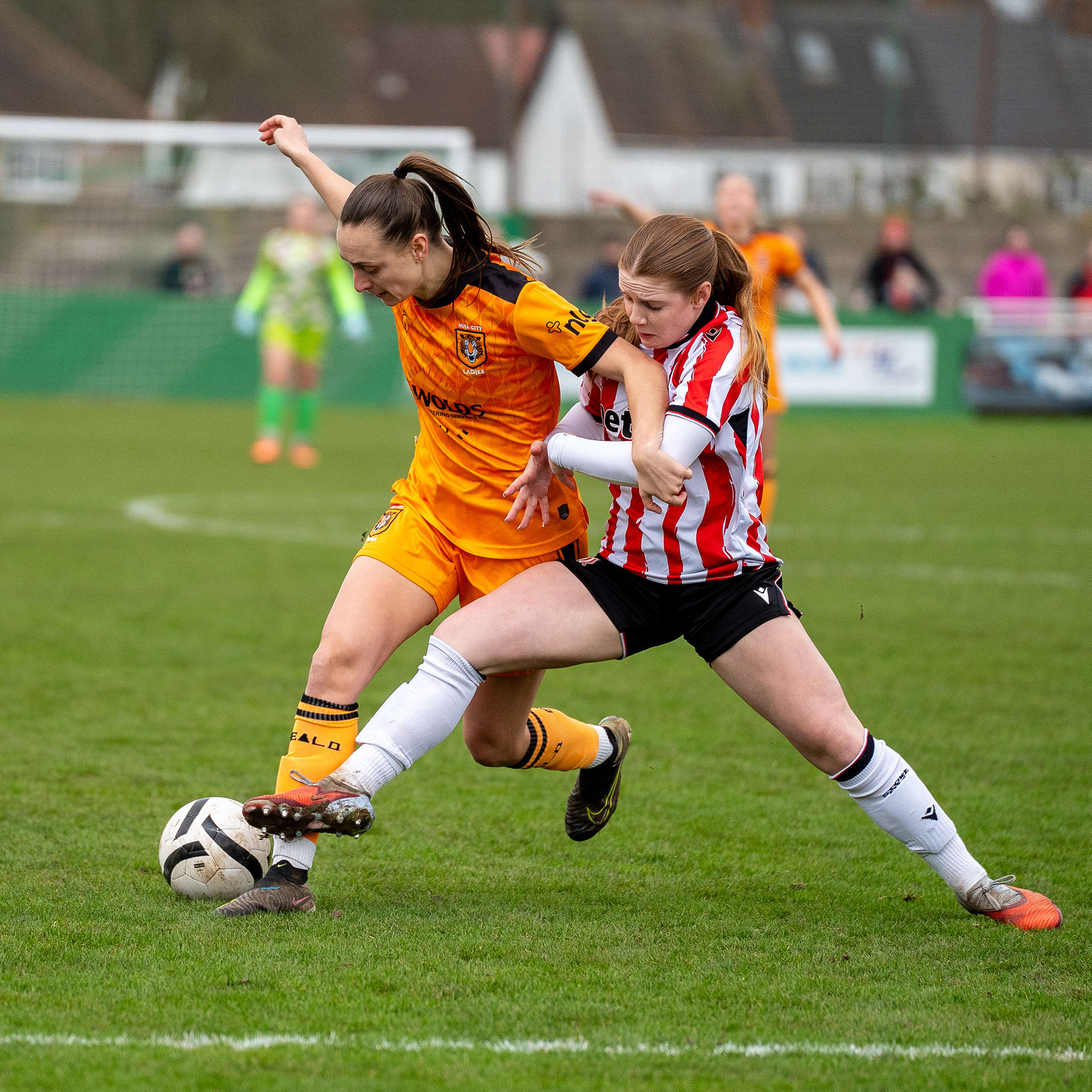 Hull City Ladies