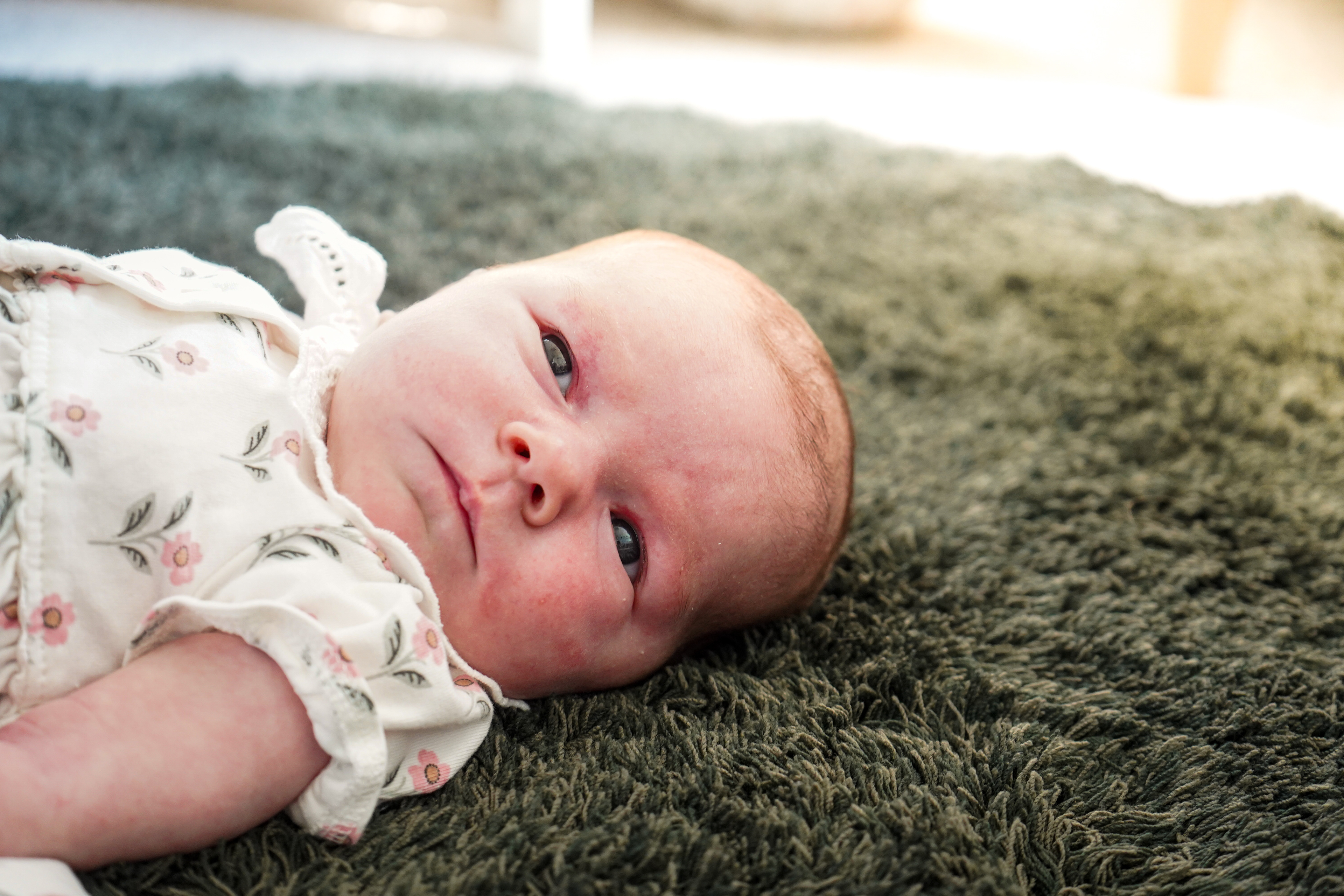 Newborn Shoot
