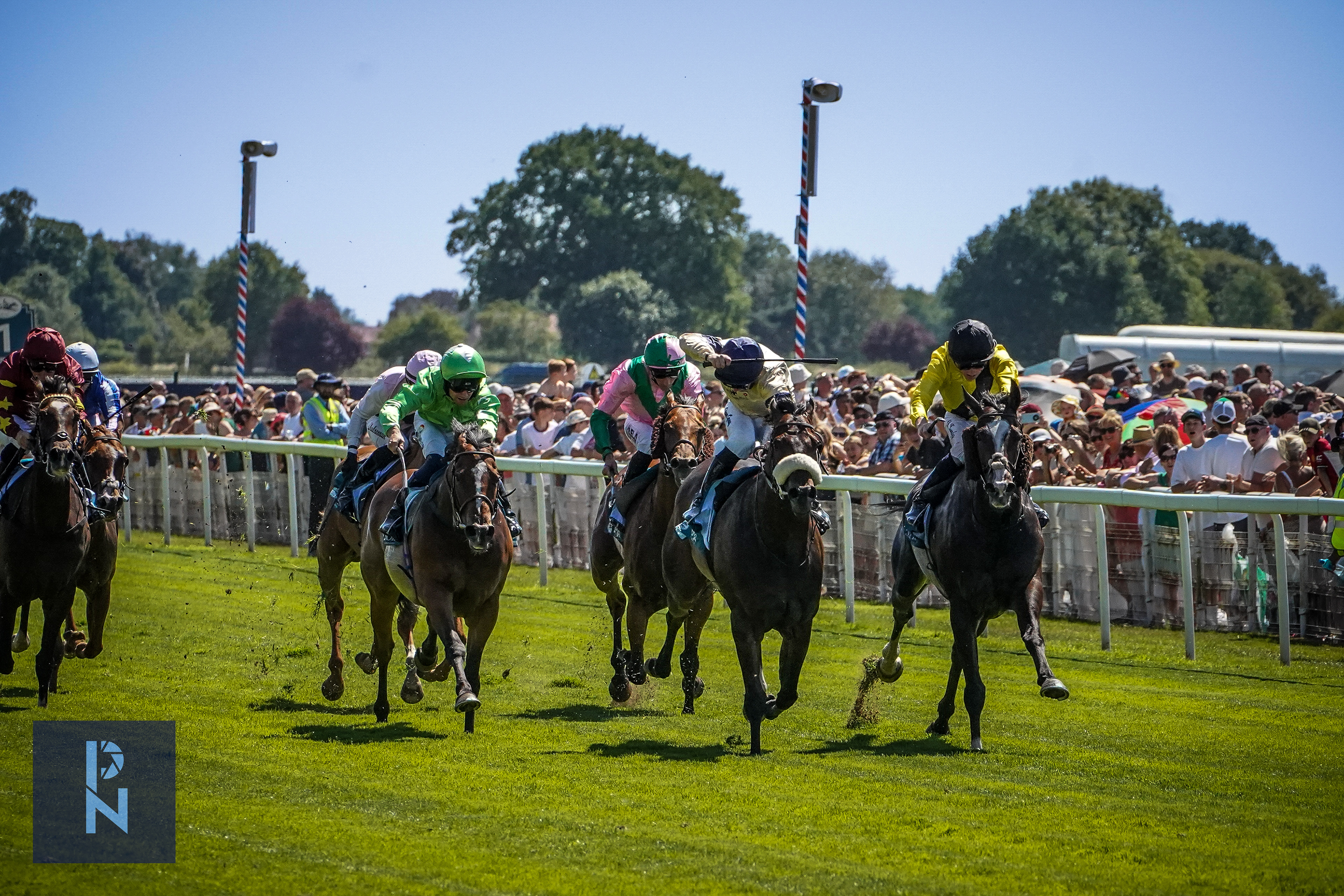 York Races