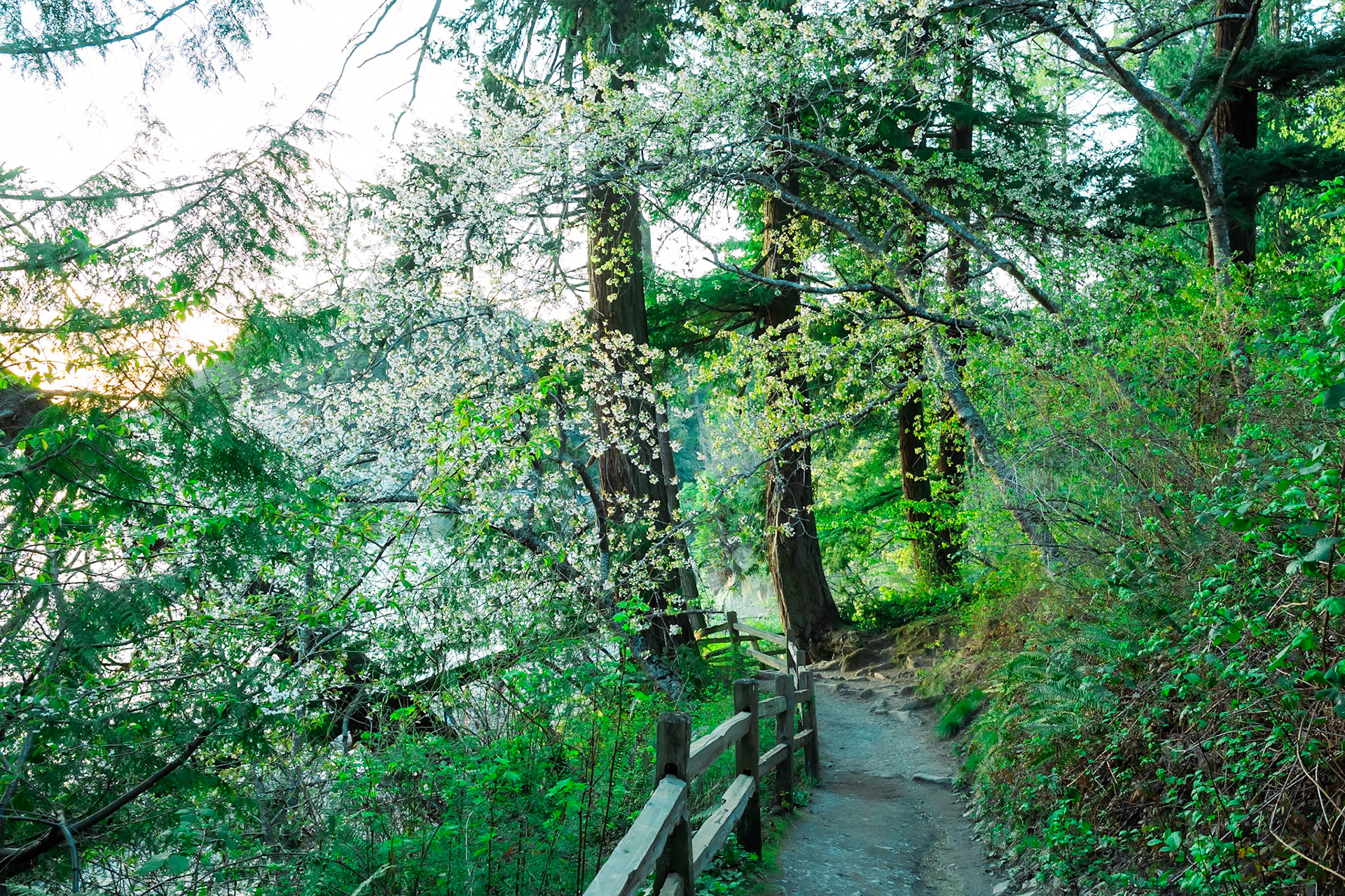 Larrabee State Park