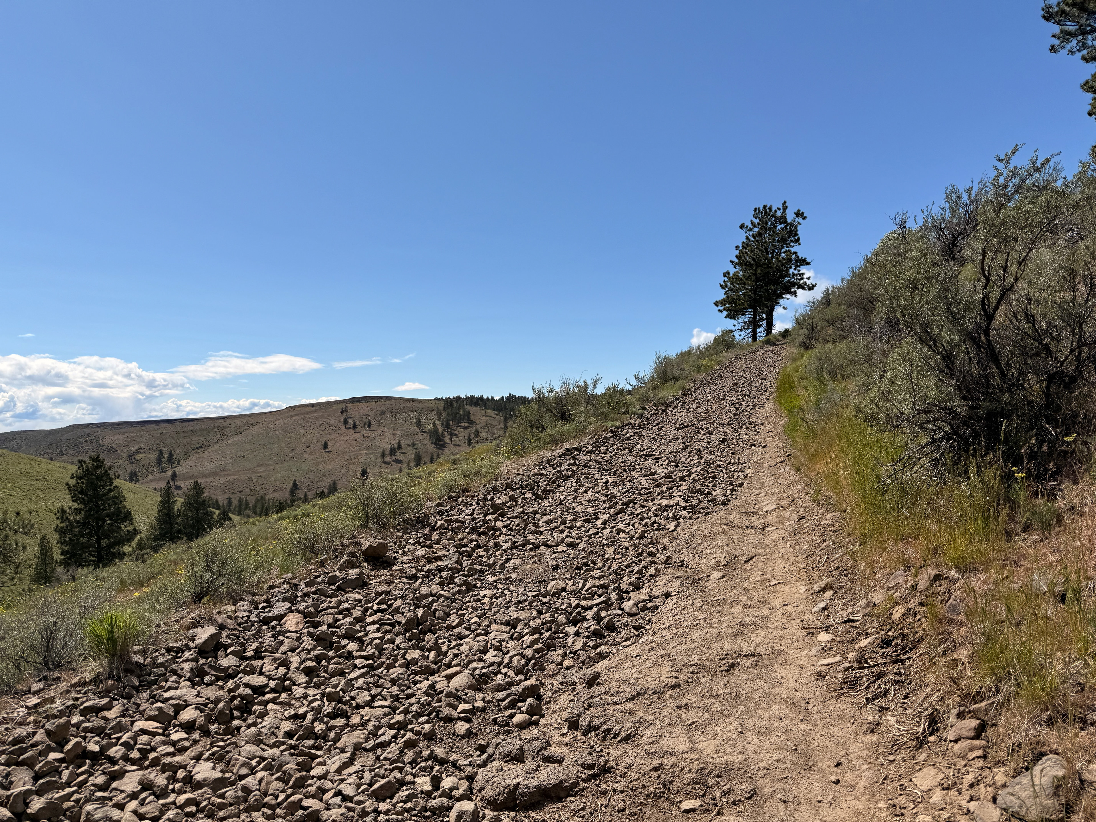 The infamous tree. Halfway up 20% babyheads puncher.