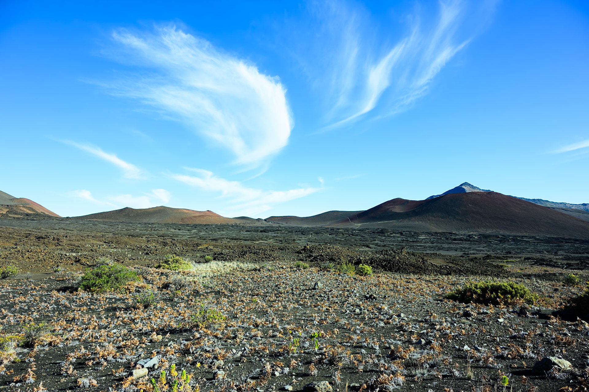 In the Haleakala crater.