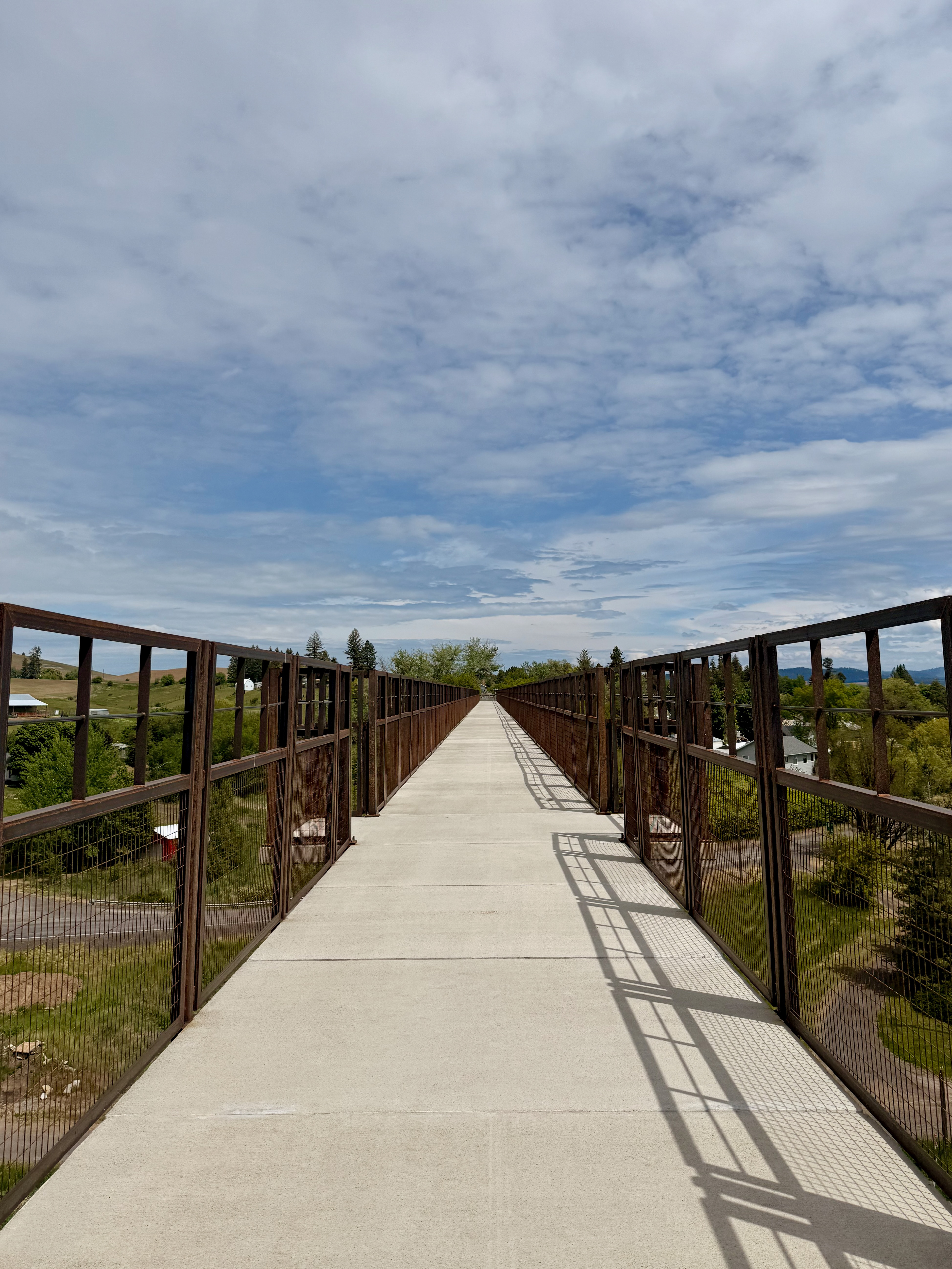 Bridge to Tekoa