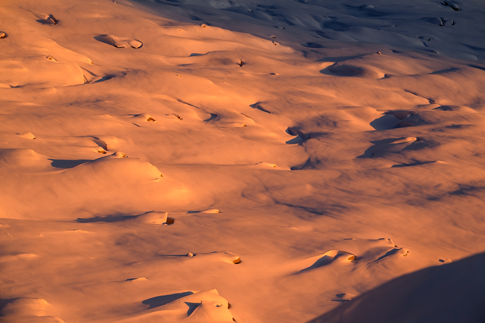 First snowfall catching sunrise light.