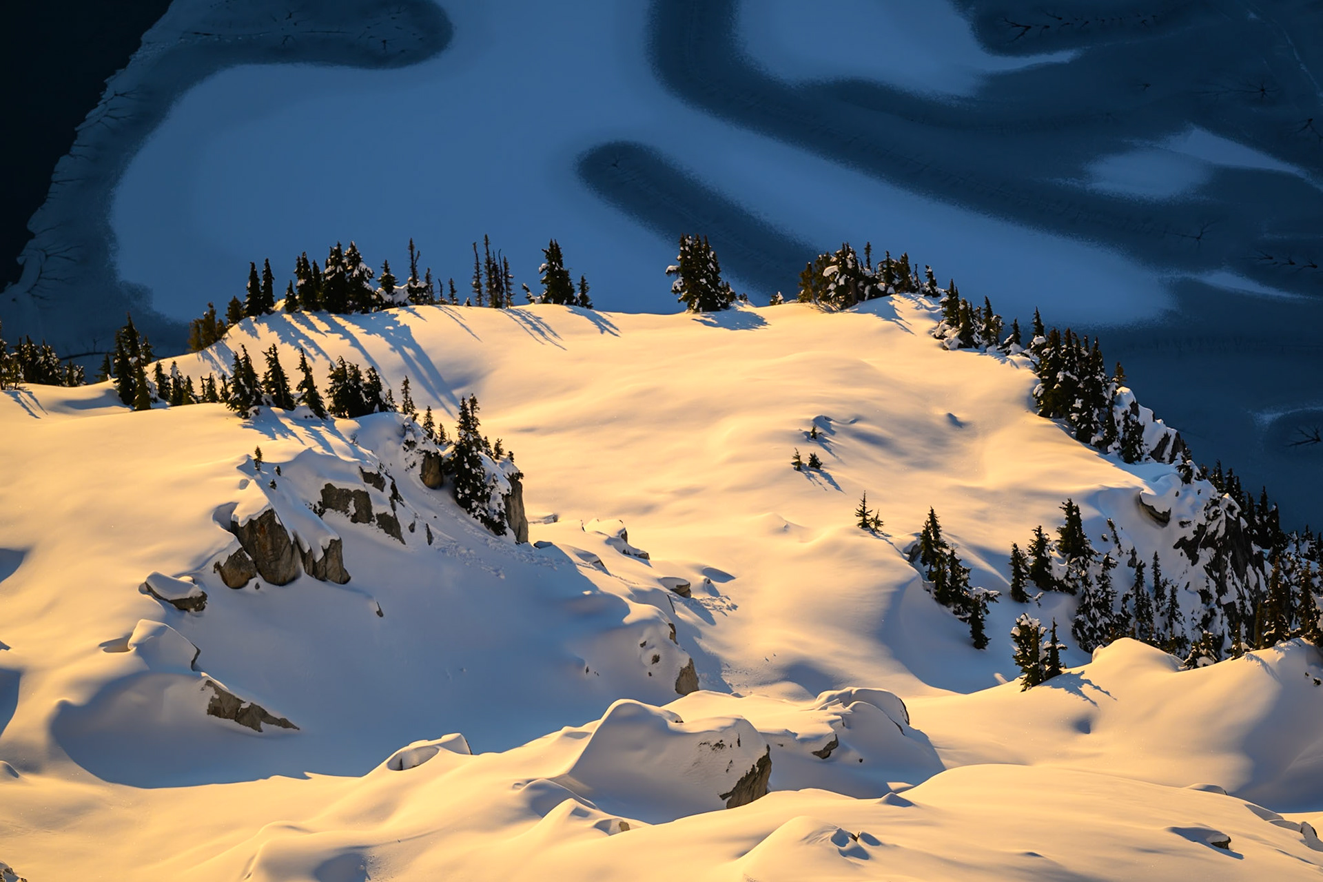 Trees and a freezing lake.
