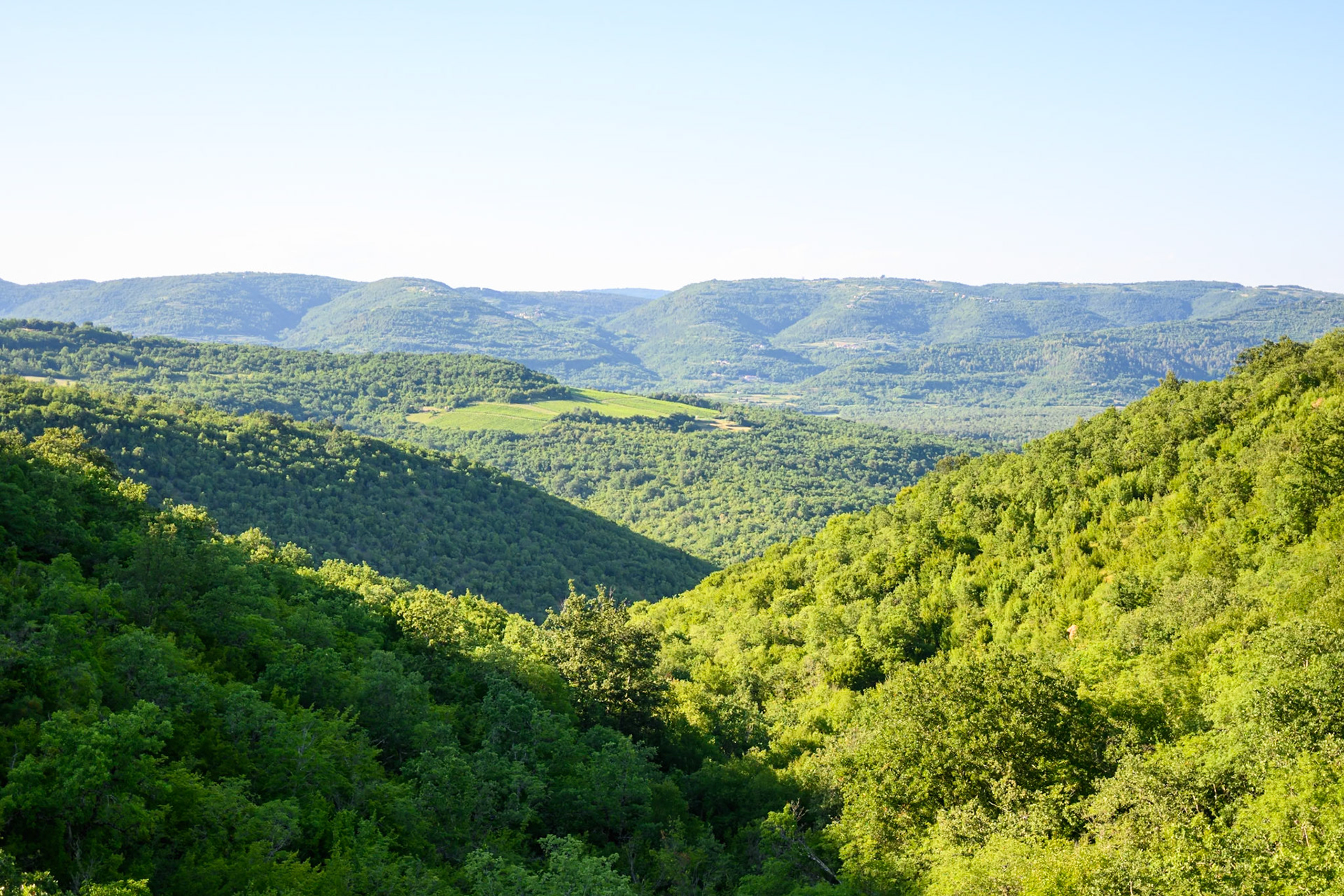 View along Parenzana Trail