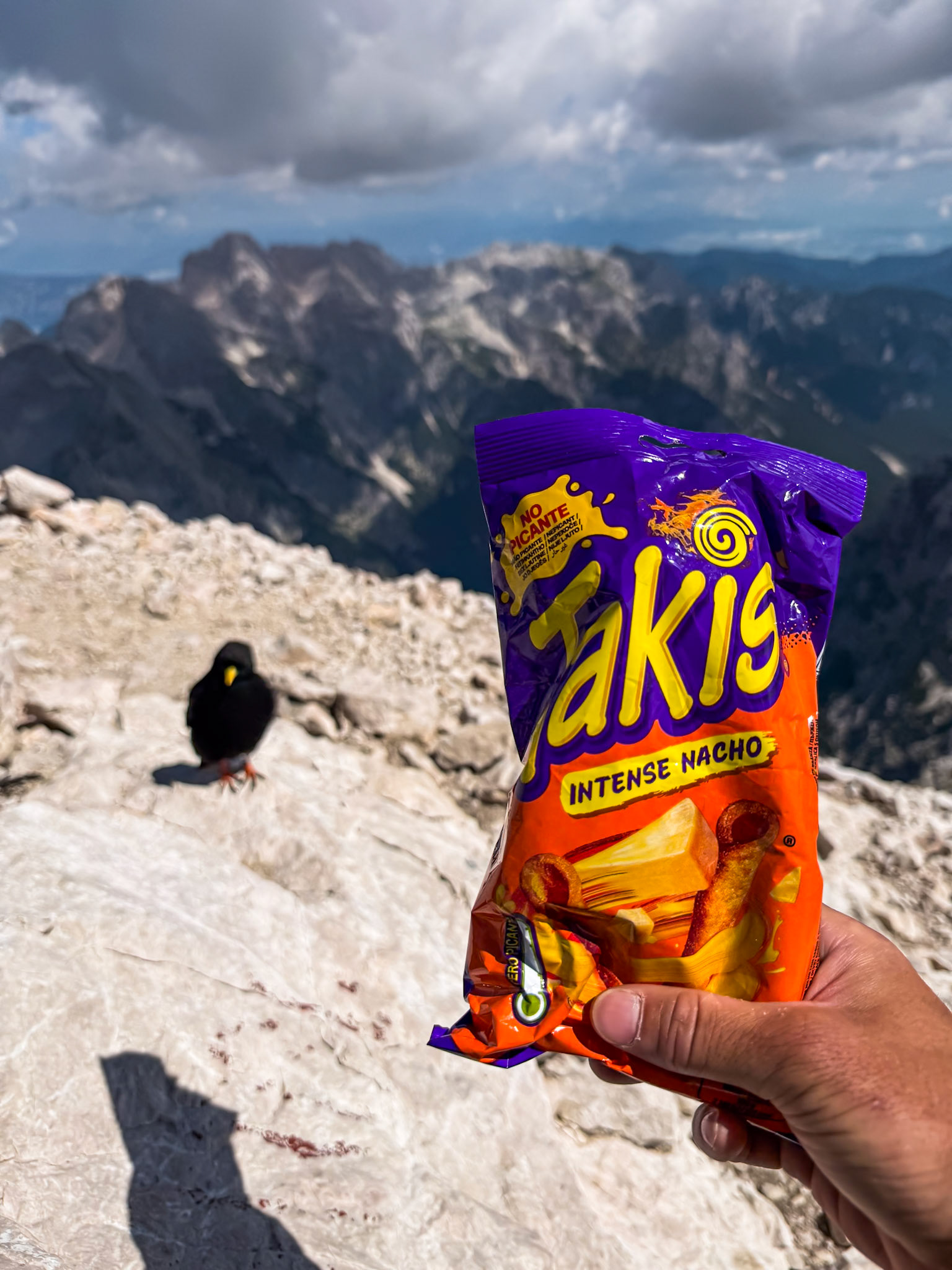 Bird want takis