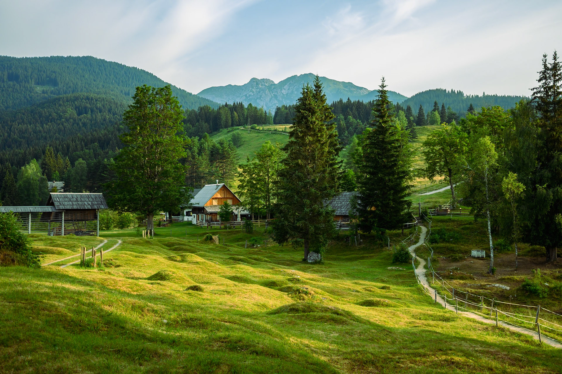 Hummocky meadows, the mounds are glacial deposits from the ice age