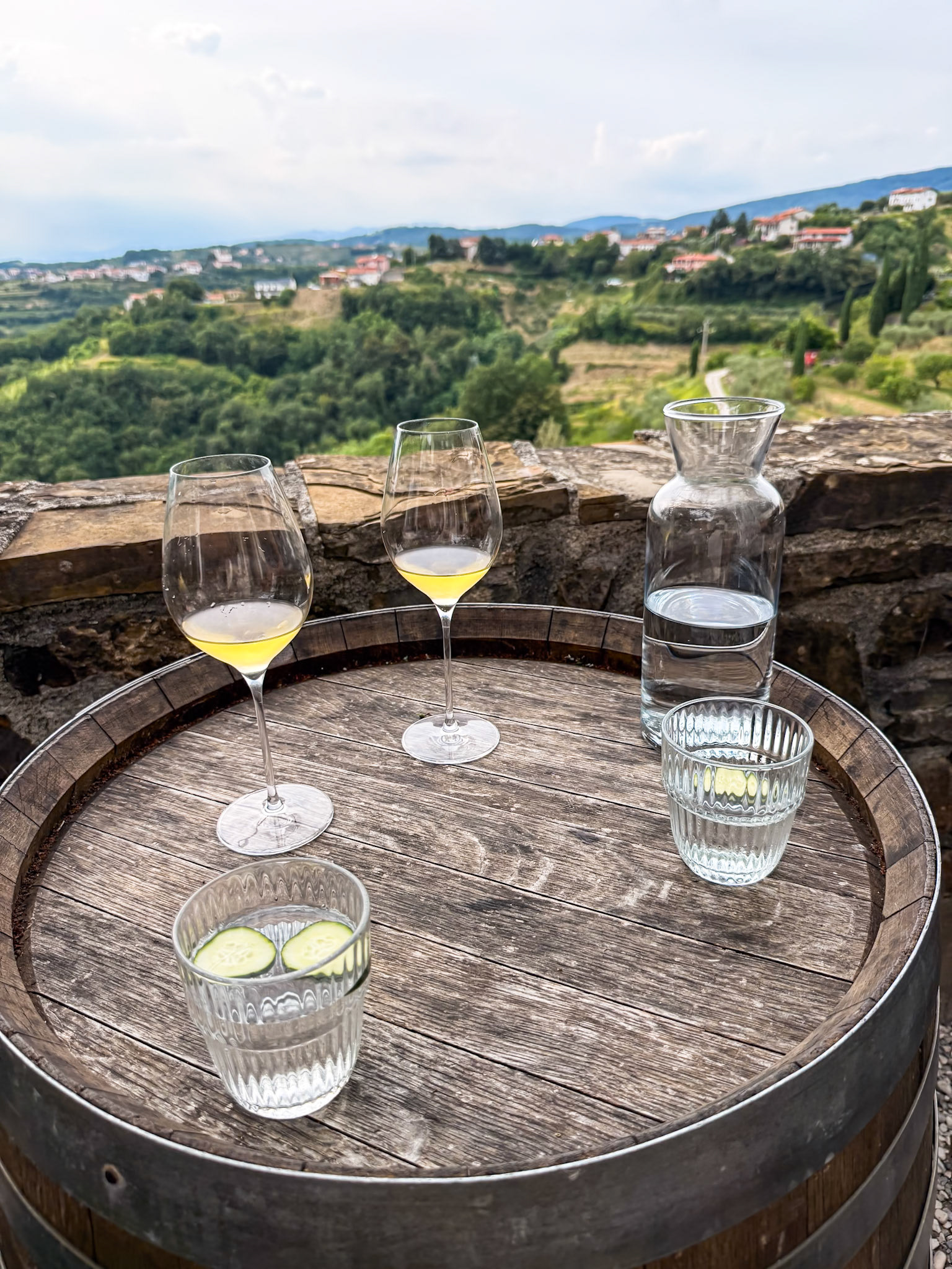 Wine tasting one day