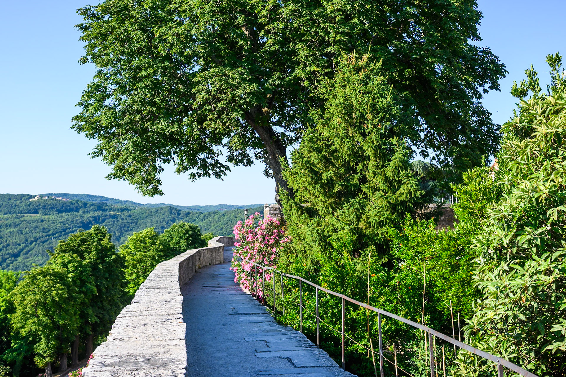 Castle Walls