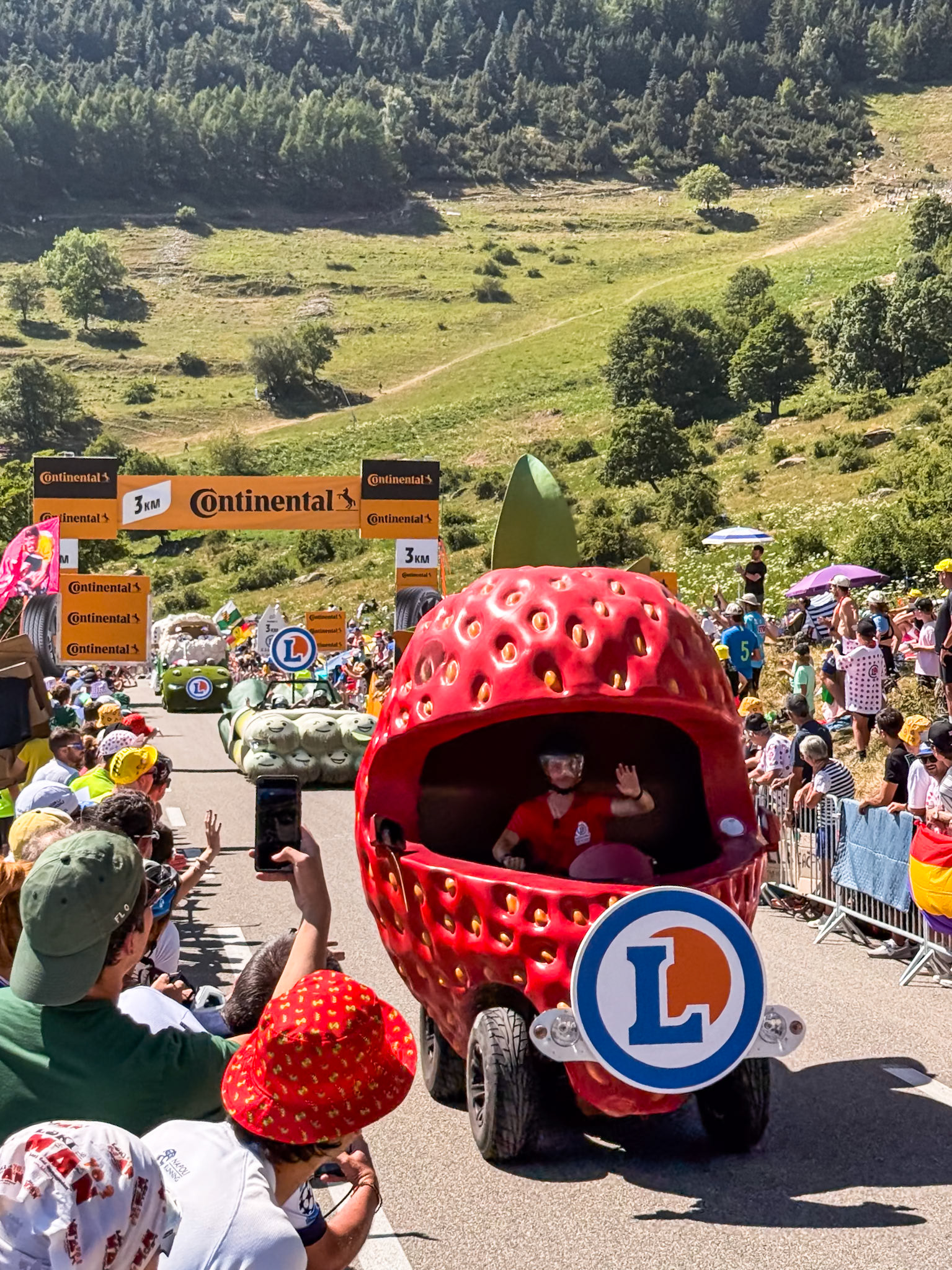 Strawberry and chives L'eclerc grocery store parade floats
